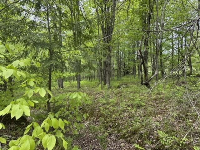200 Coits Gore Road Property Photo 3
