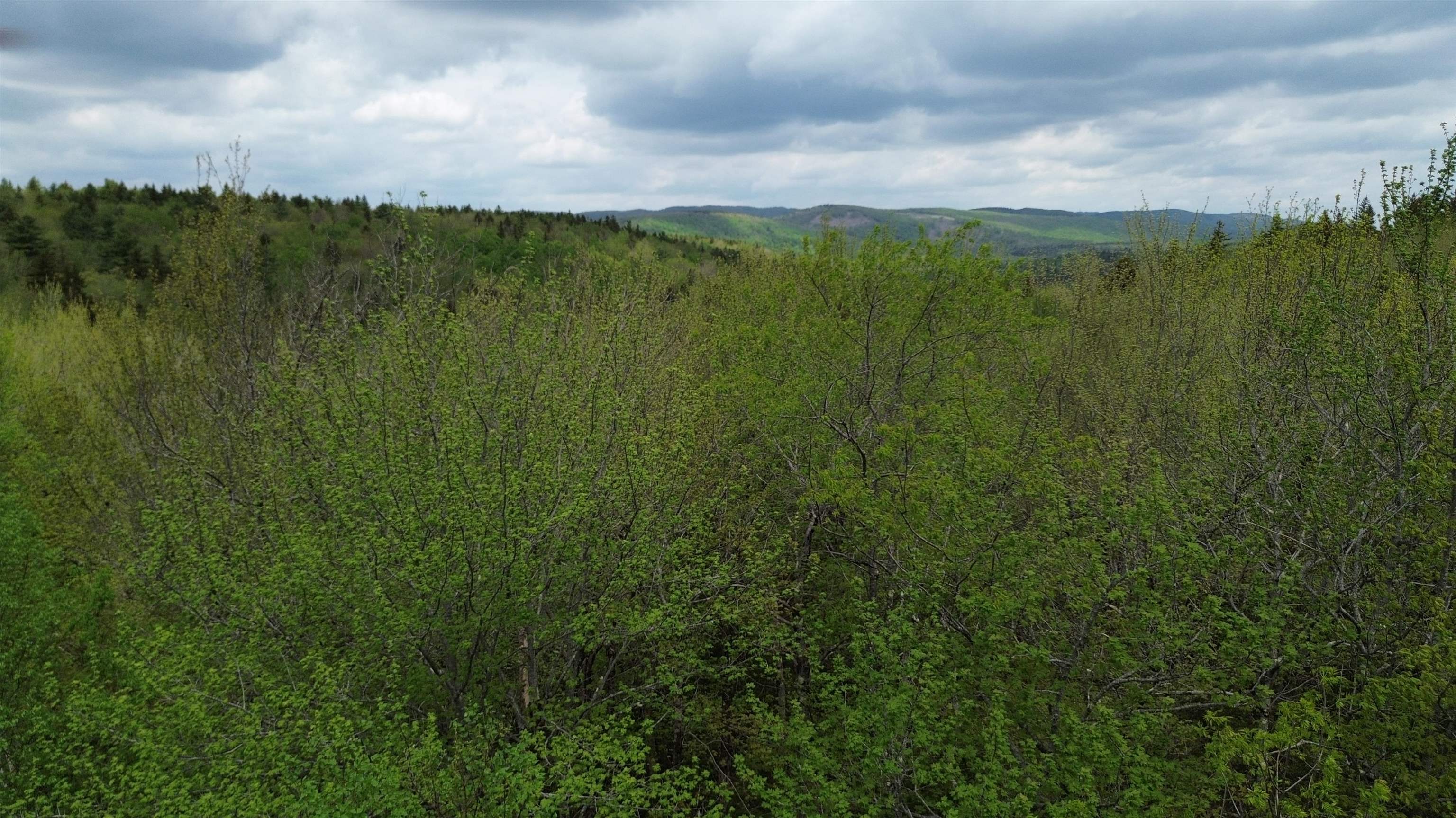 Map 8 Lot 29 Martin Road Property Photo 2