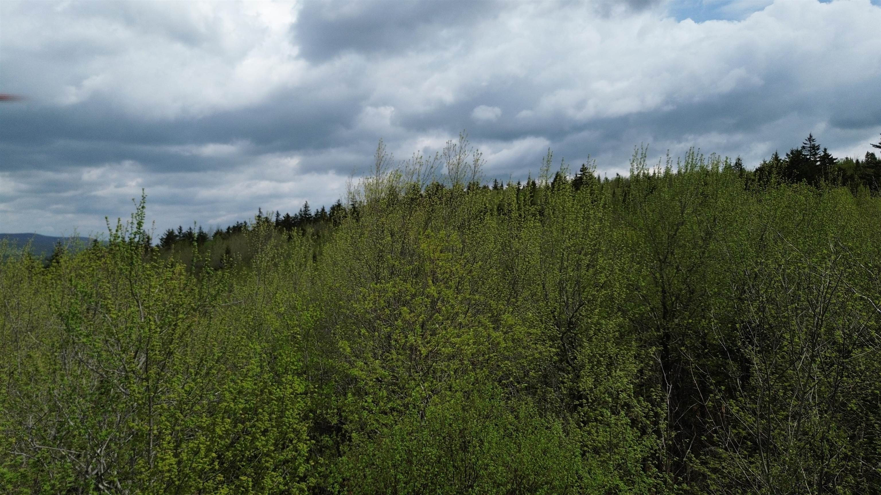 Map 8 Lot 29 Martin Road Property Photo 4