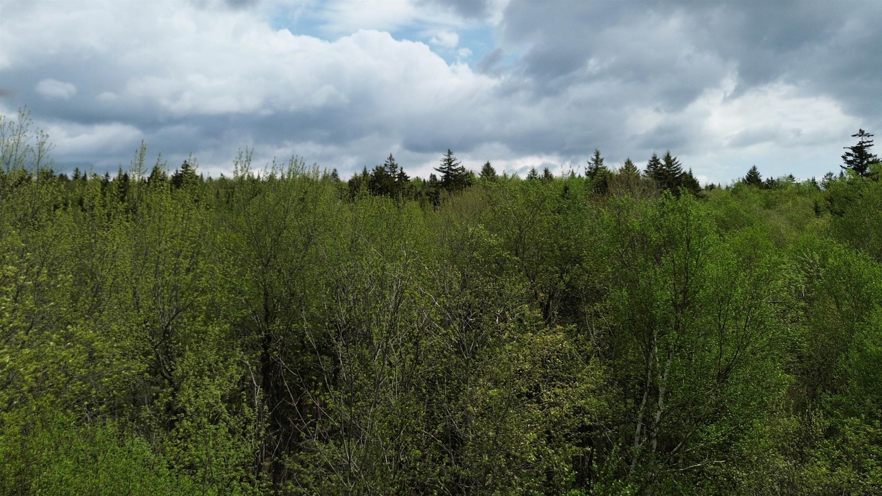 Map 8 Lot 29 Martin Road Property Photo 11