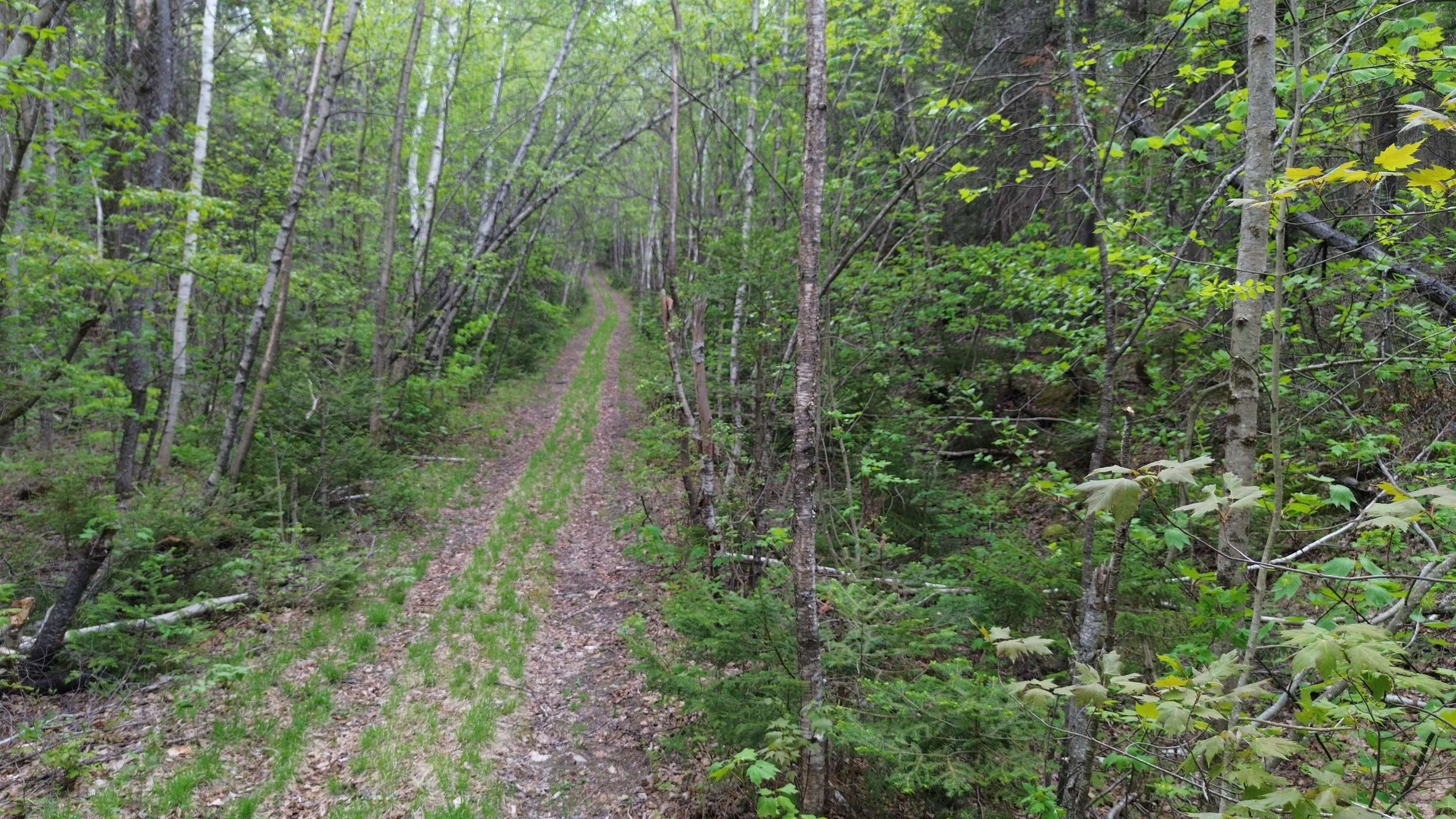 Map 8 Lot 29 Martin Road Property Photo 12