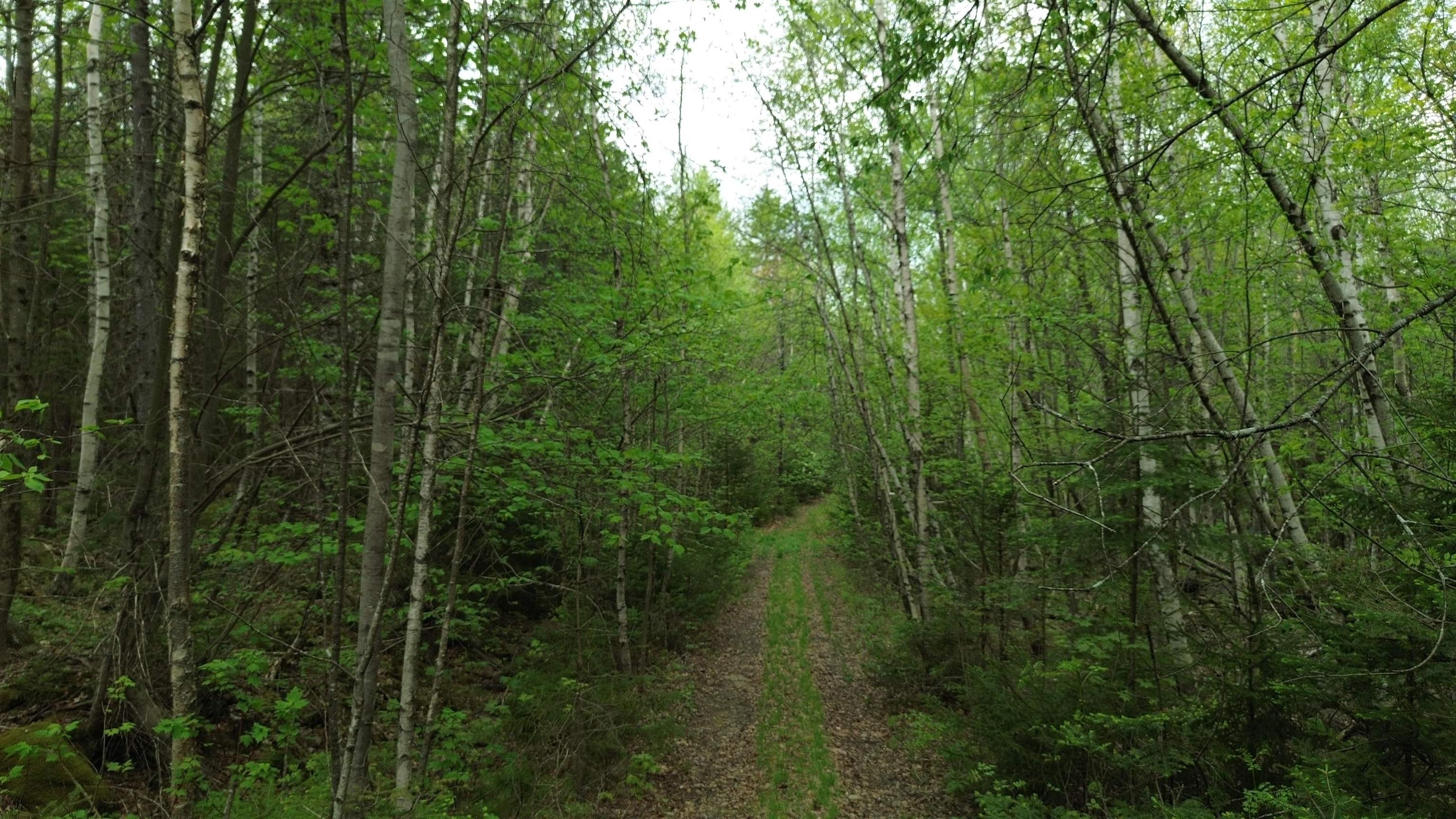 Map 8 Lot 29 Martin Road Property Photo 13