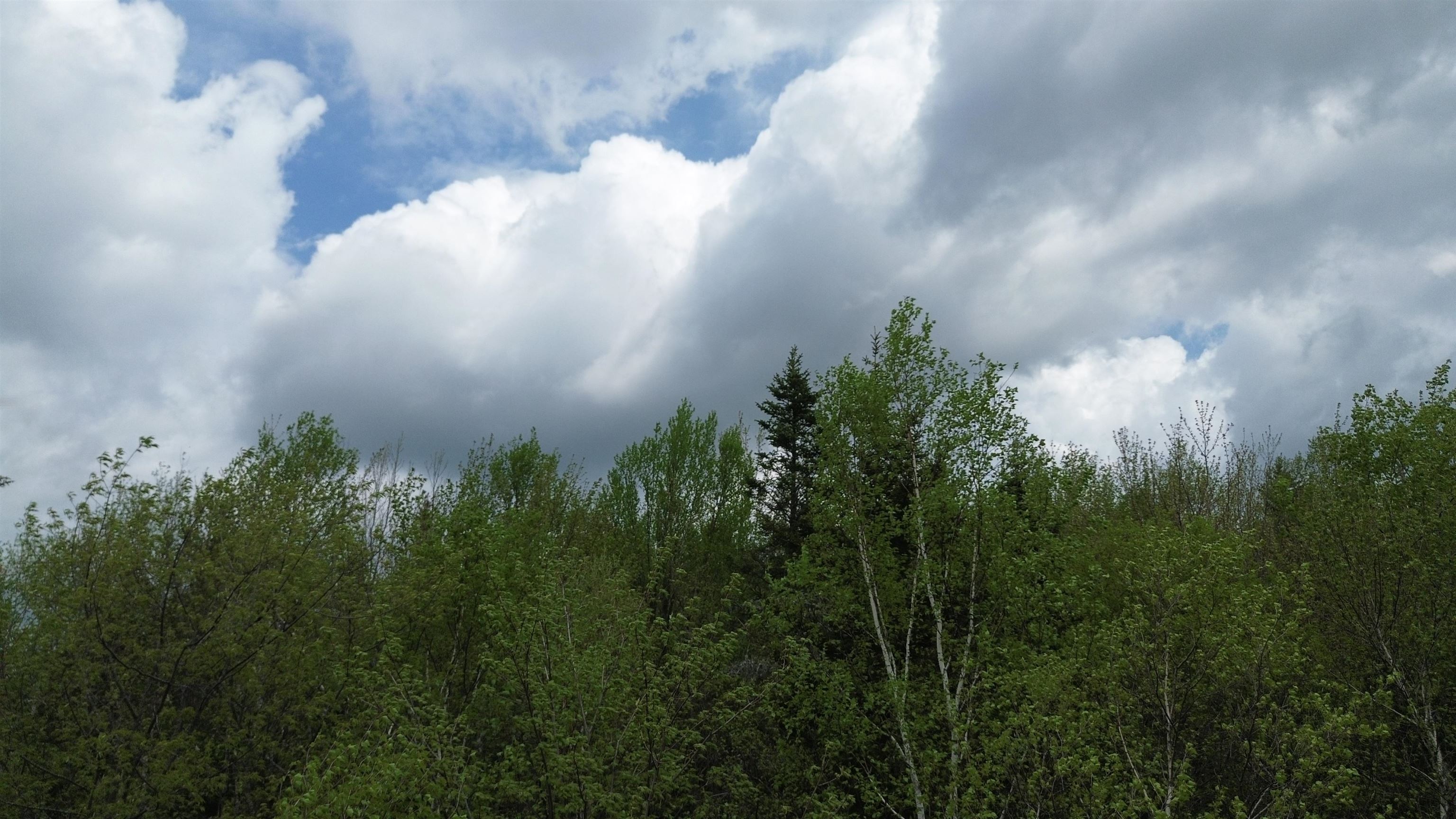 Map 8 Lot 29 Martin Road Property Photo 16
