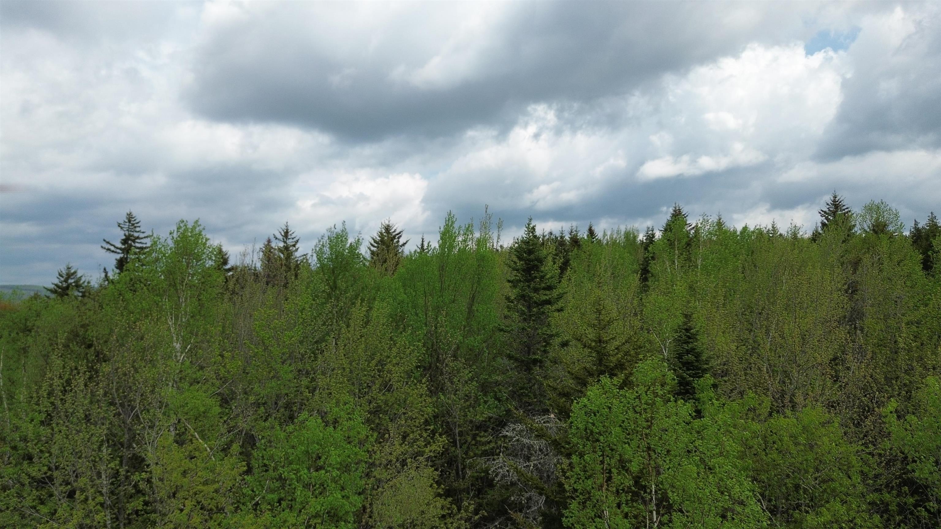 Map 8 Lot 29 Martin Road Property Photo 17