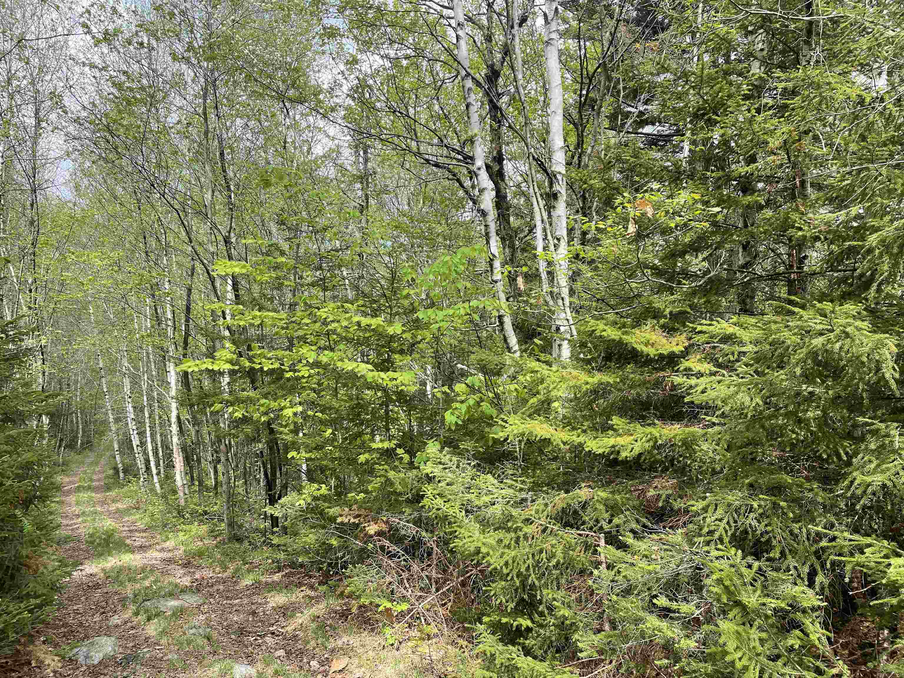 Map 8 Lot 29 Martin Road Property Photo 19