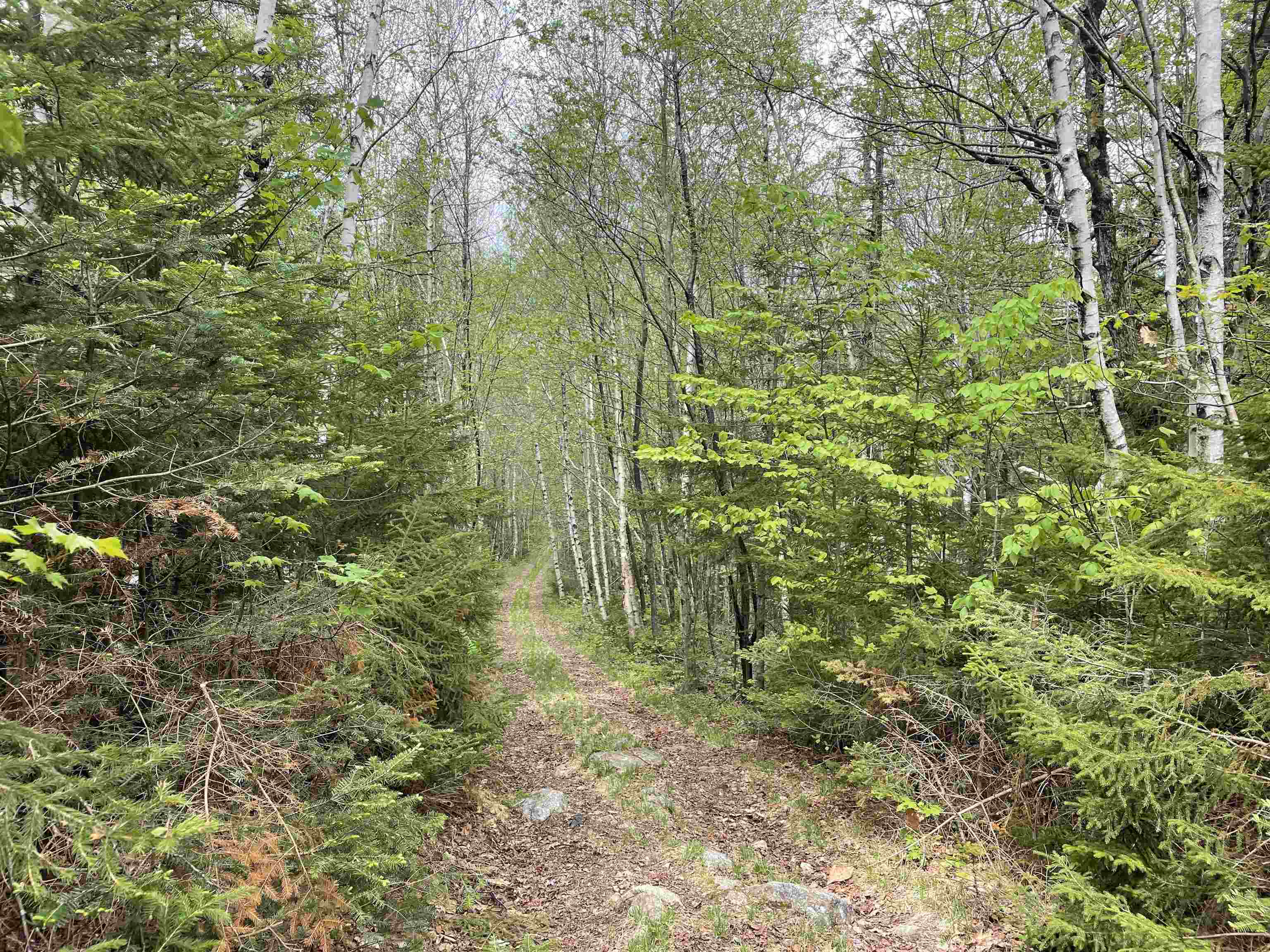 Map 8 Lot 29 Martin Road Property Photo 20