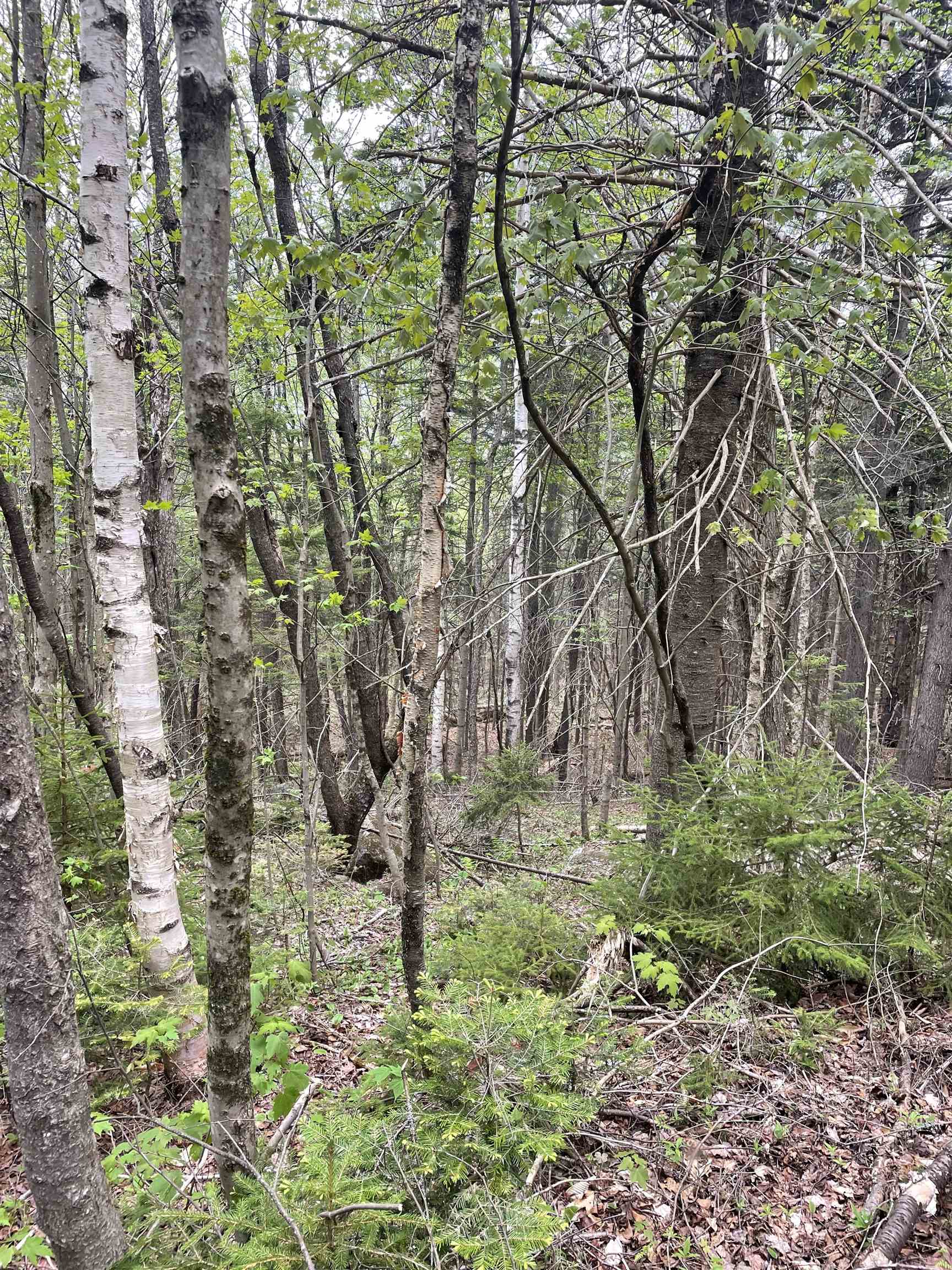 Map 8 Lot 29 Martin Road Property Photo 22
