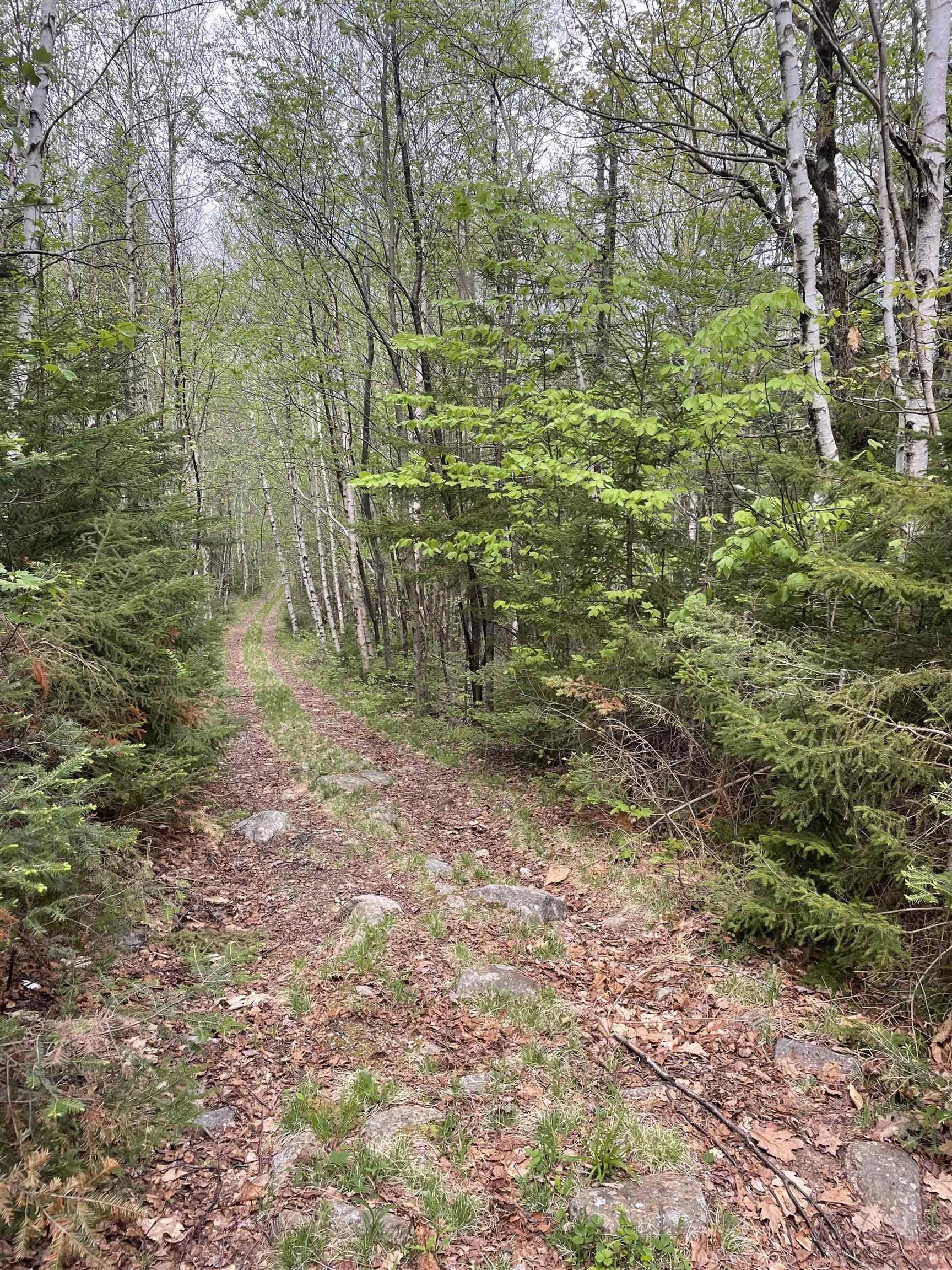 Map 8 Lot 29 Martin Road Property Photo 24