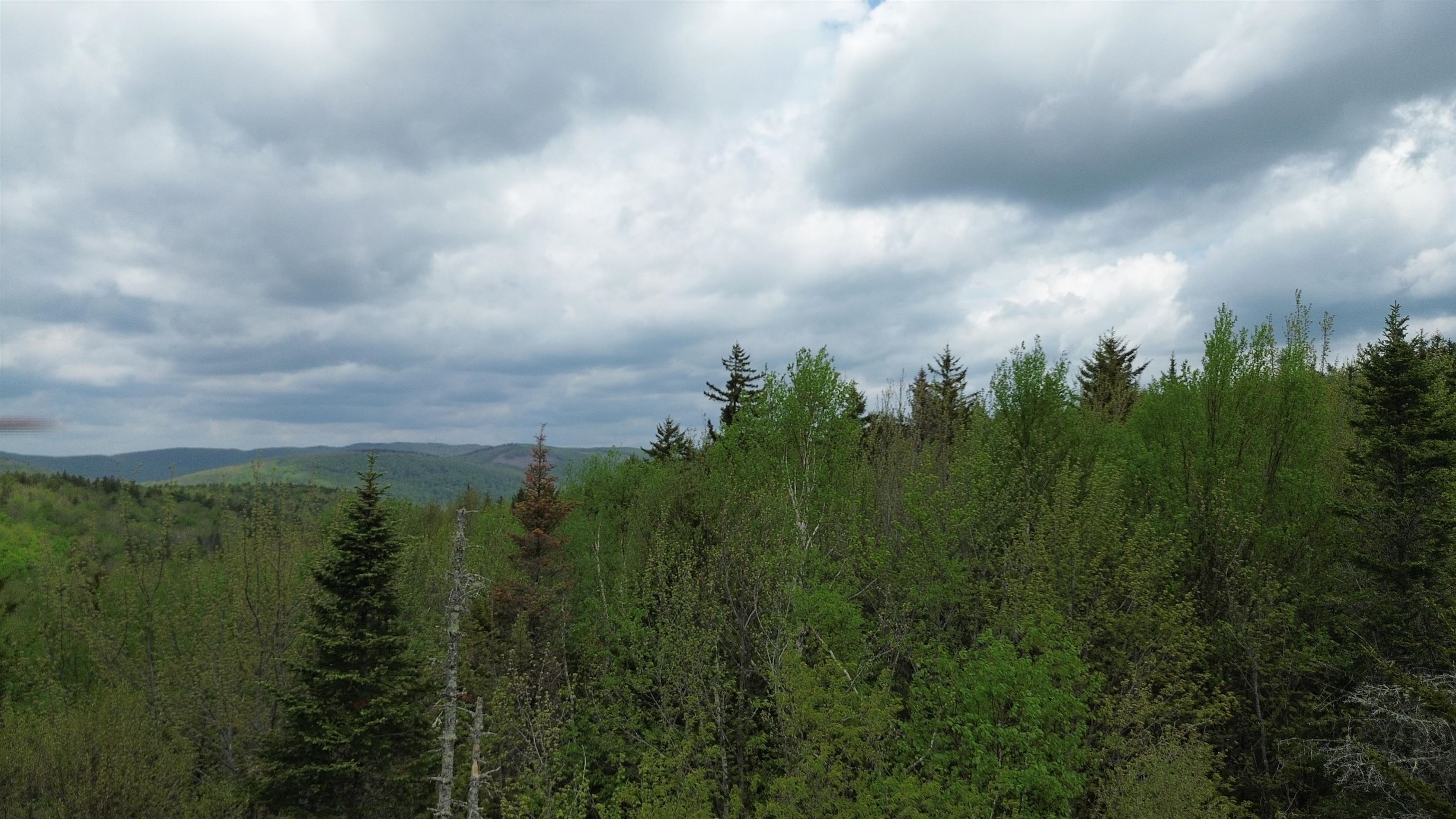 Map 8 Lot 29 Martin Road Property Photo 25