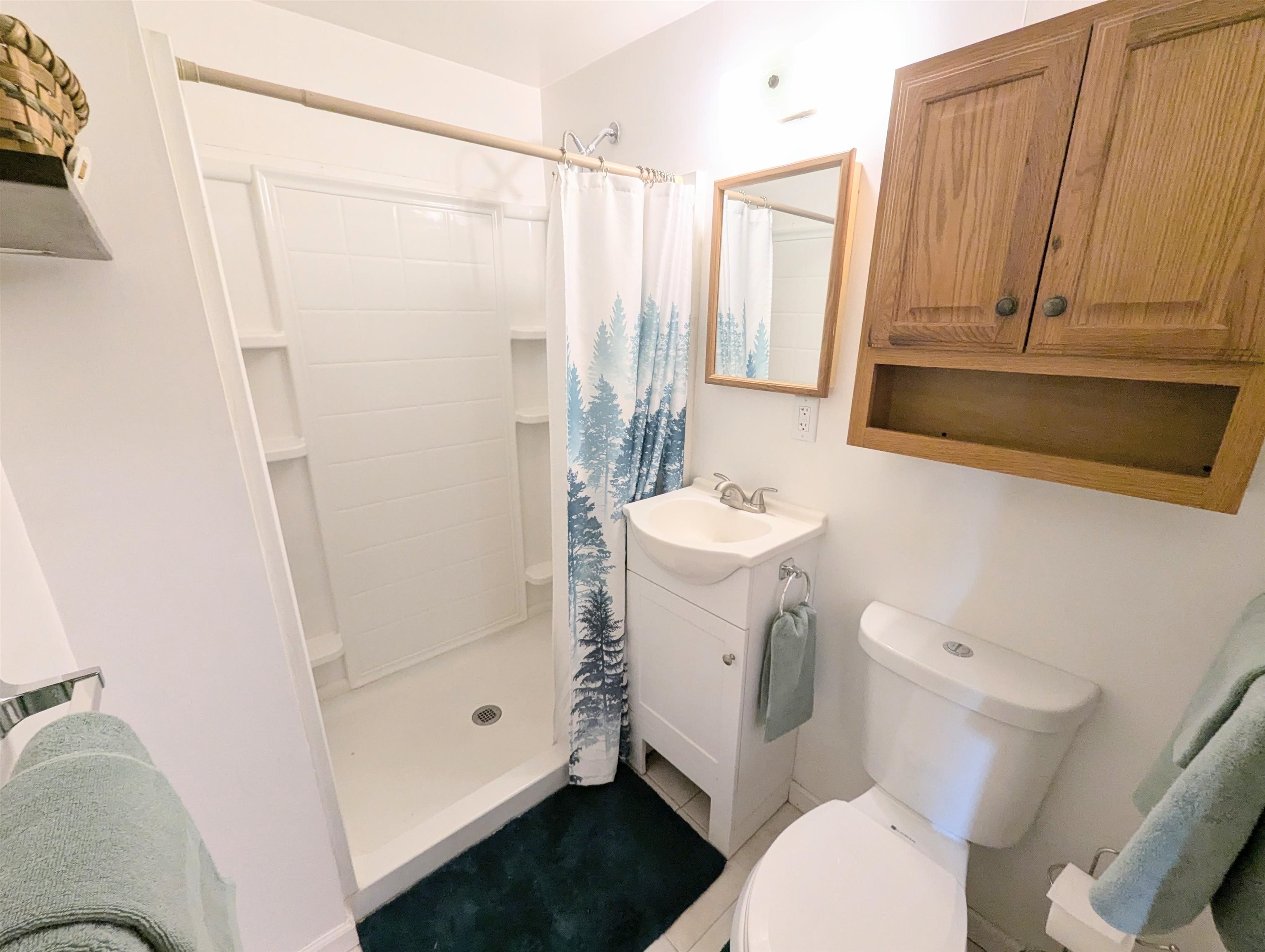 391 Concord Avenue Property Photo 35