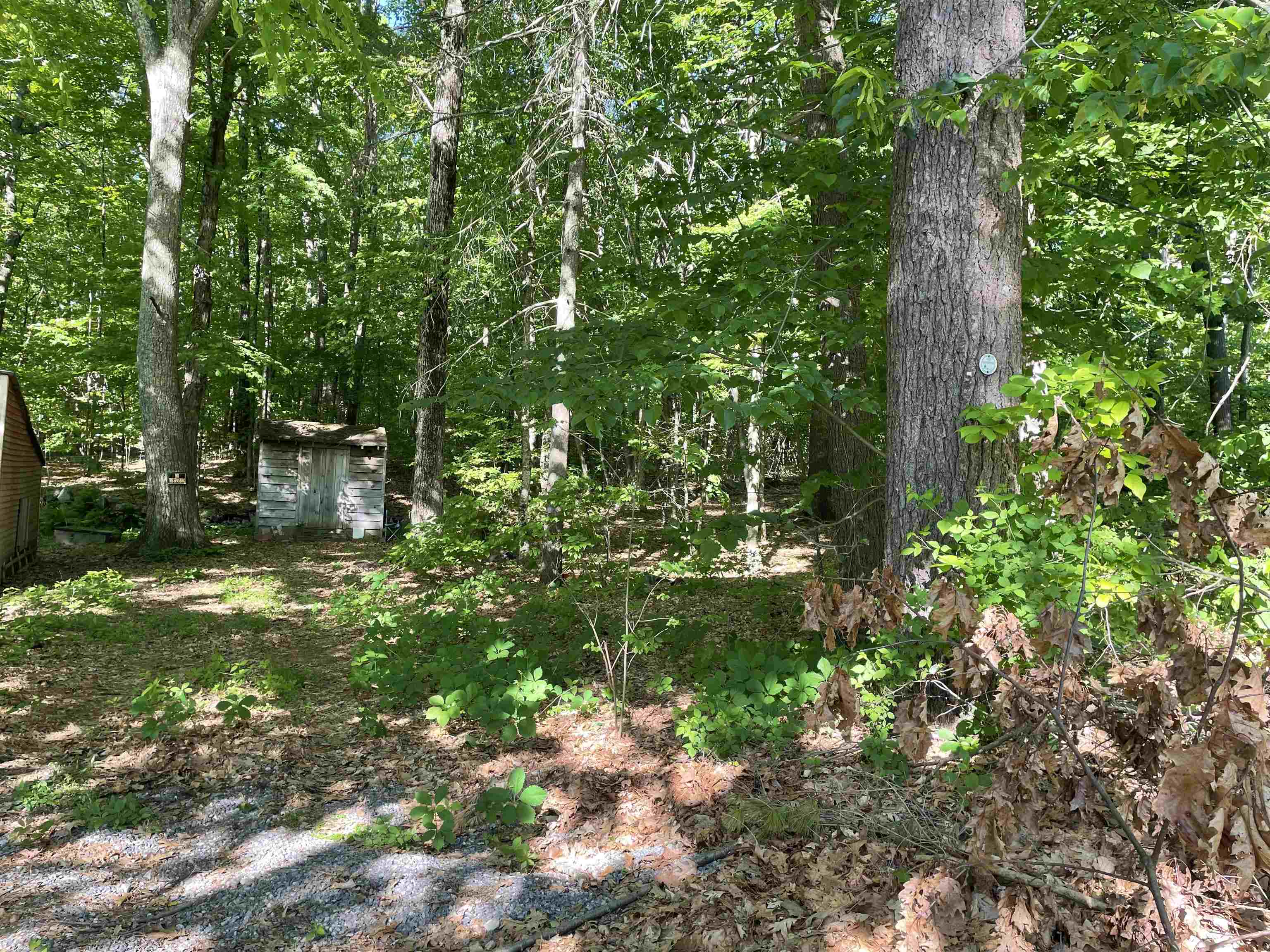 5 Allen Road Property Photo 8