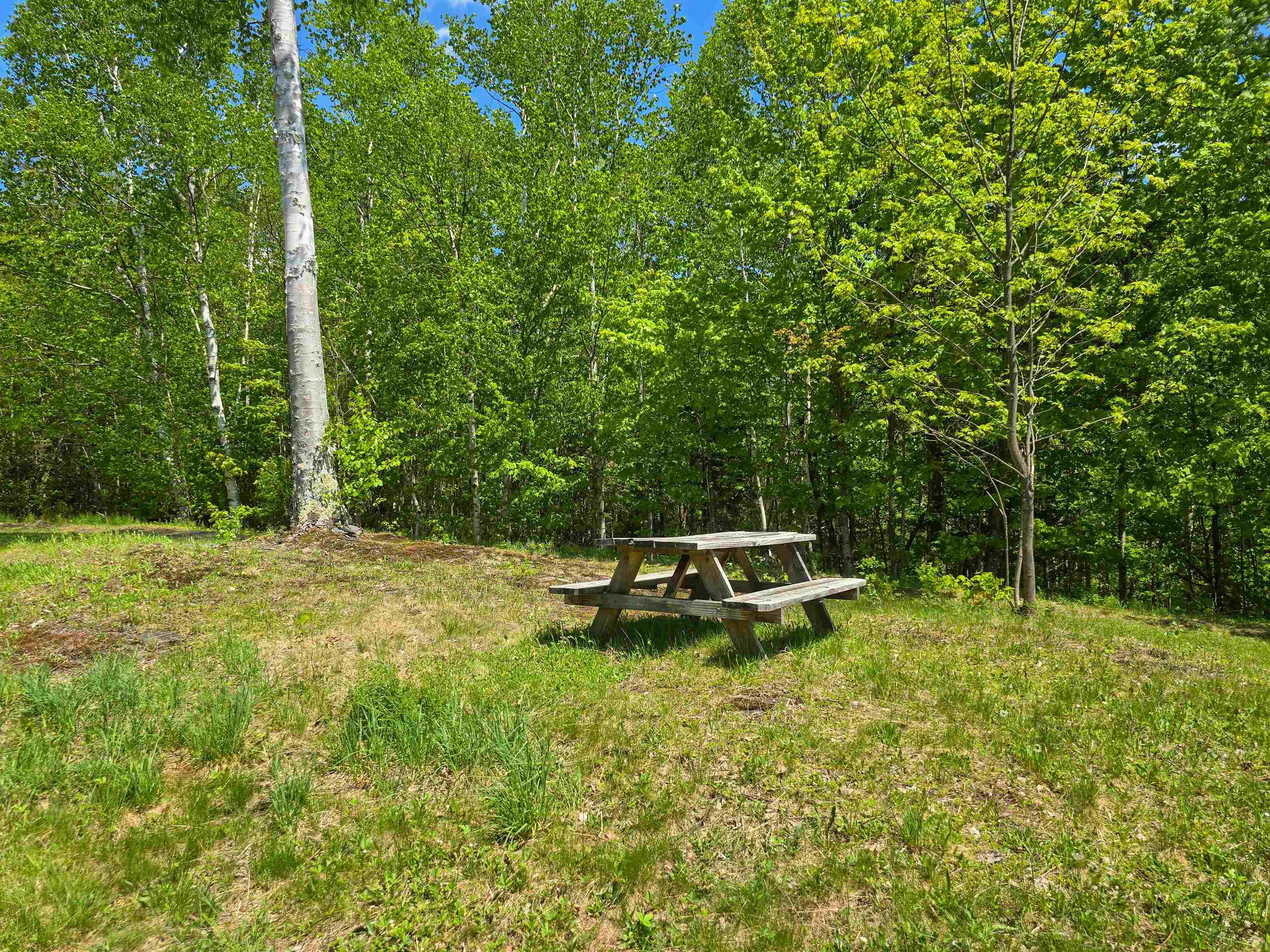 990 Daniels West Road Property Photo 8