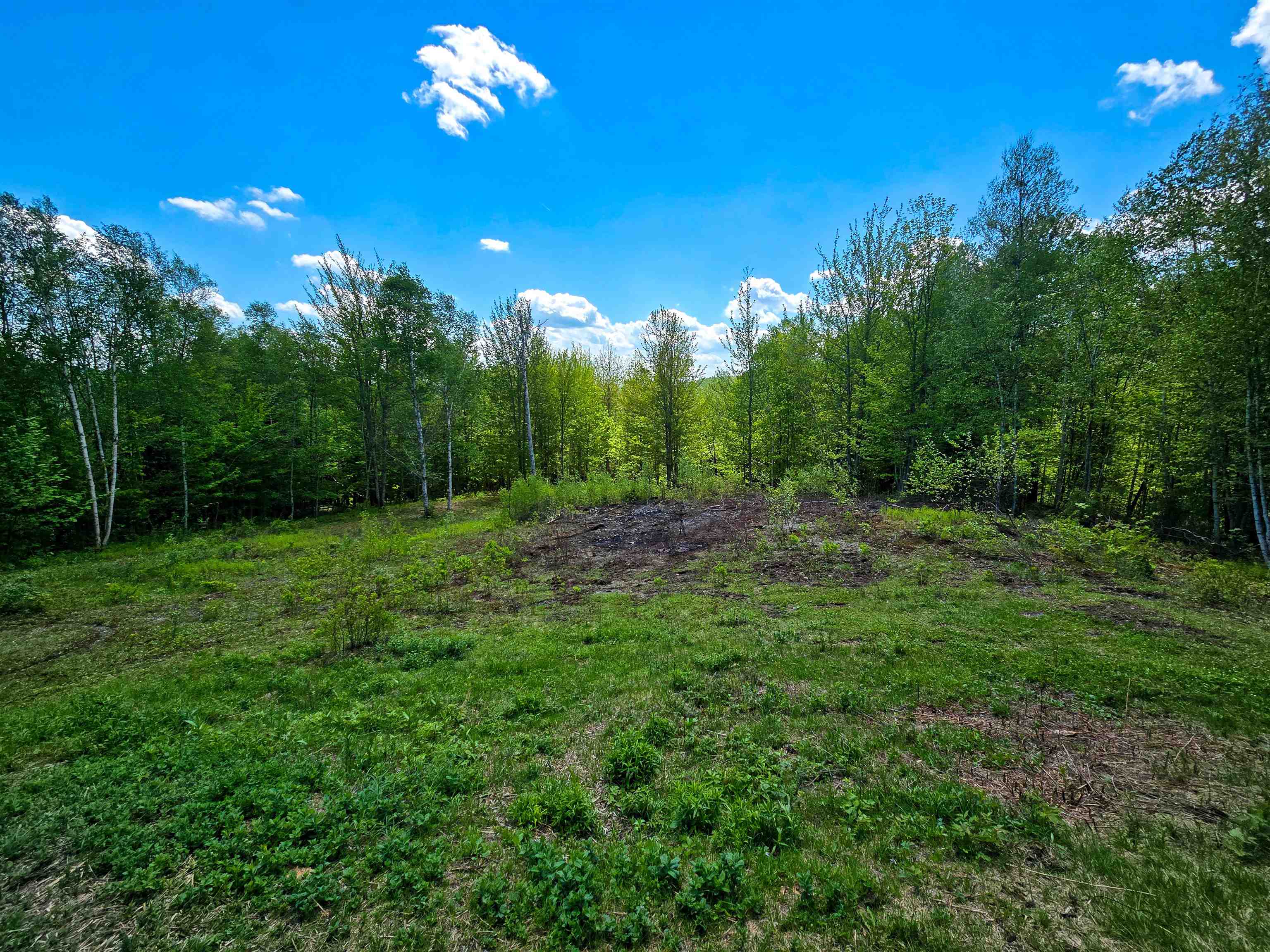 990 Daniels West Road Property Photo 32
