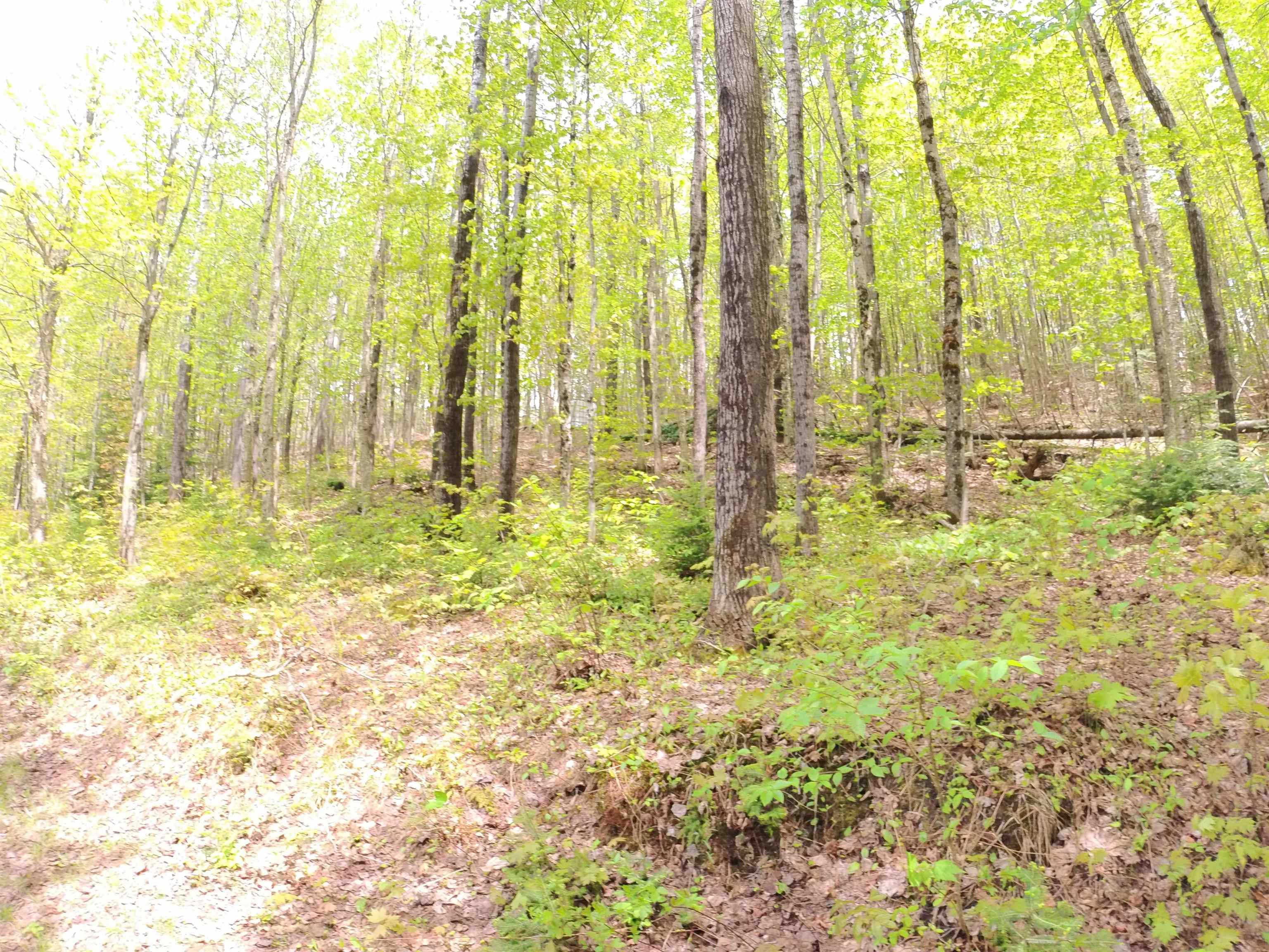 763 Hunting Camp Road Property Photo 4