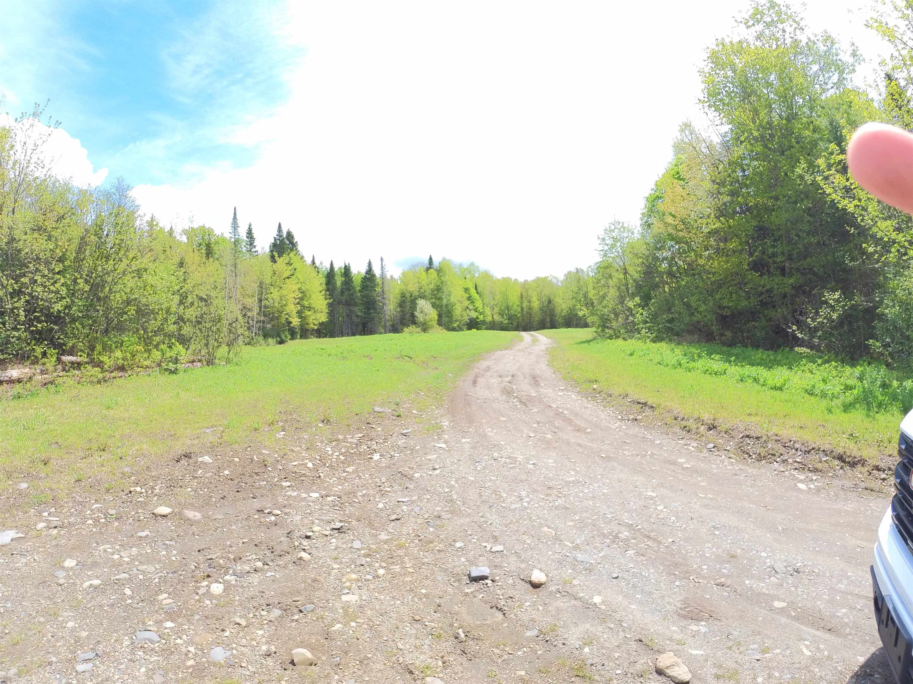 763 Hunting Camp Road Property Photo 8