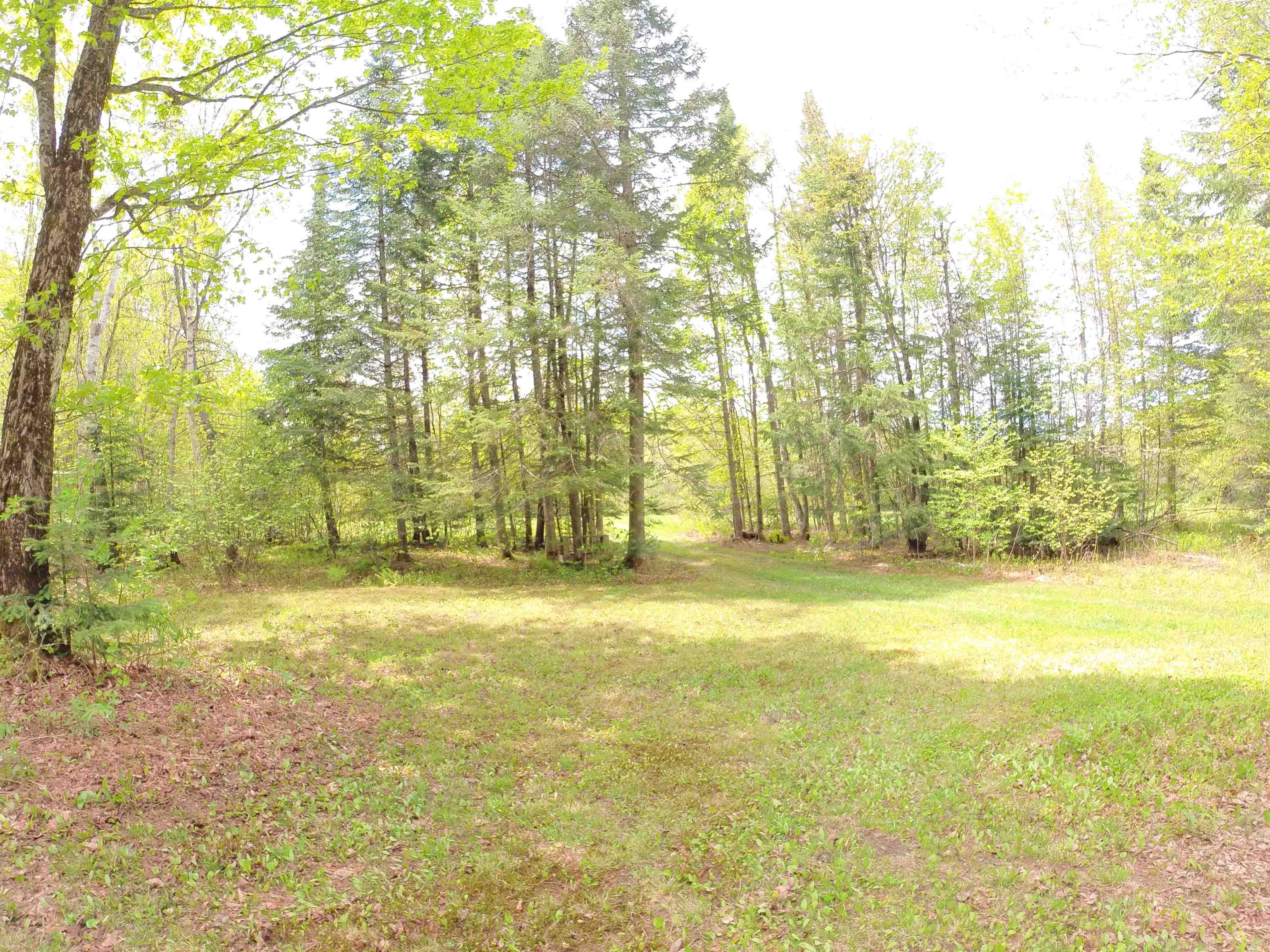 763 Hunting Camp Road Property Photo 13