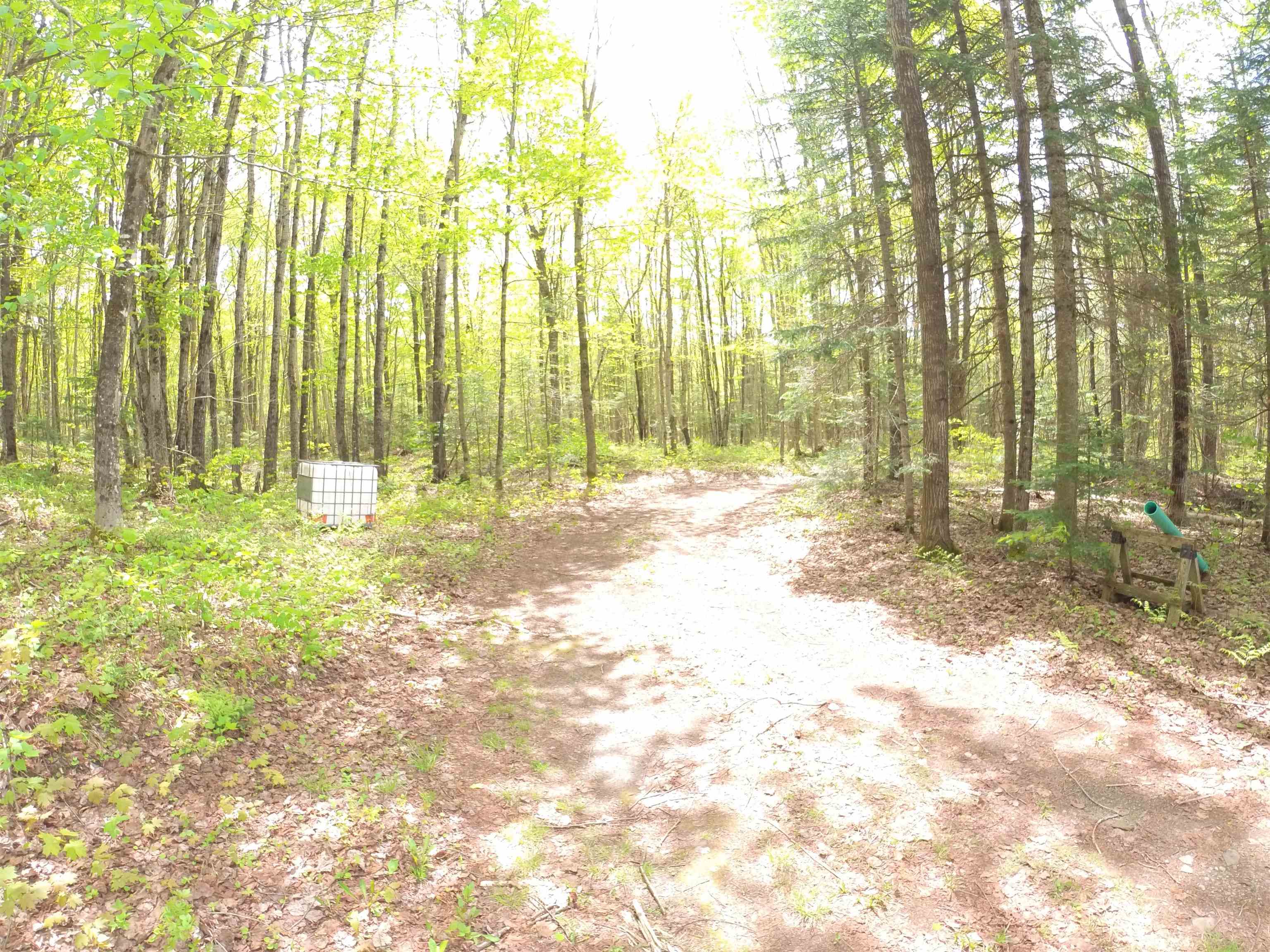 763 Hunting Camp Road Property Photo 14