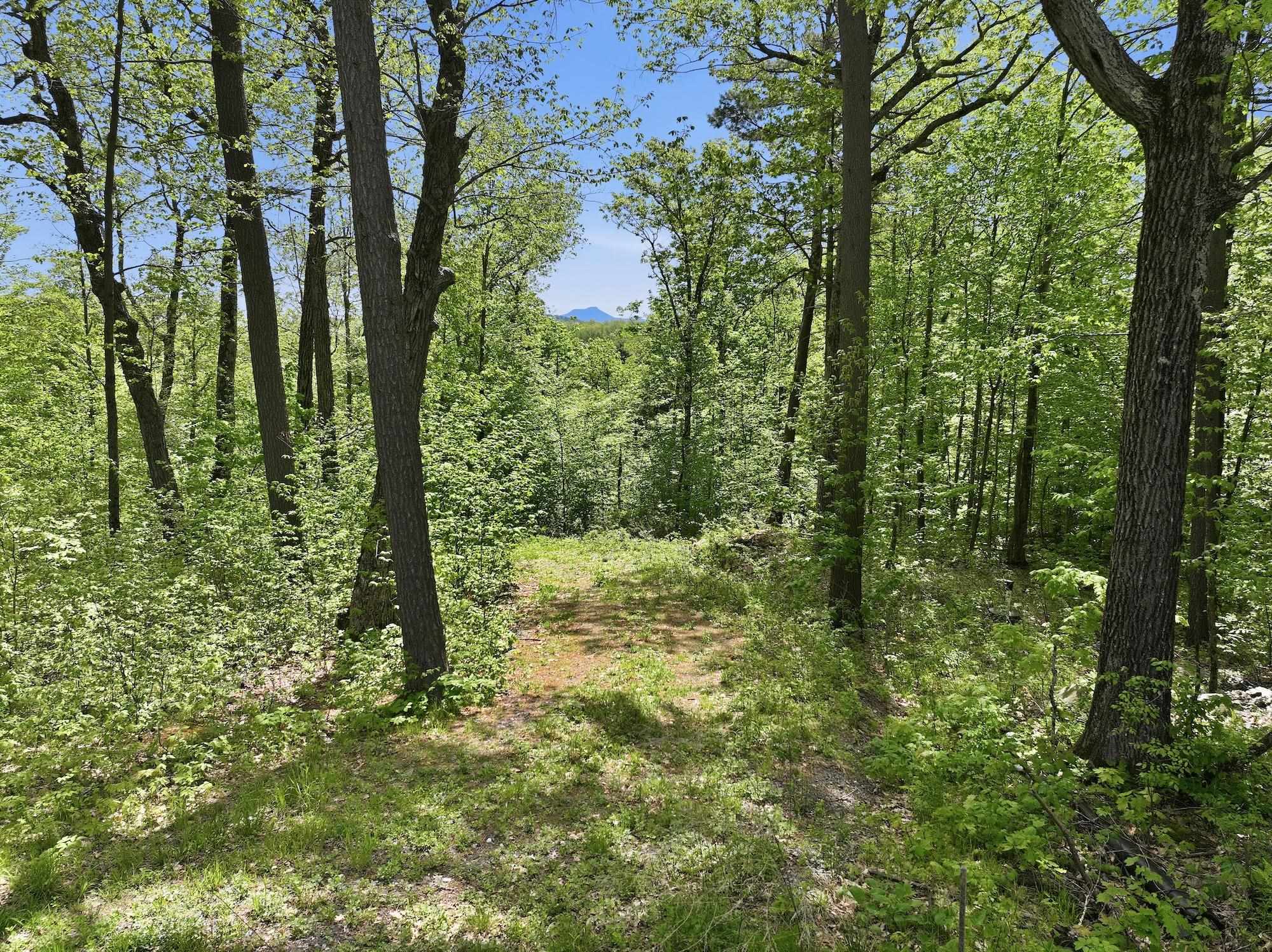 189 Shagbark Lane Property Photo 7