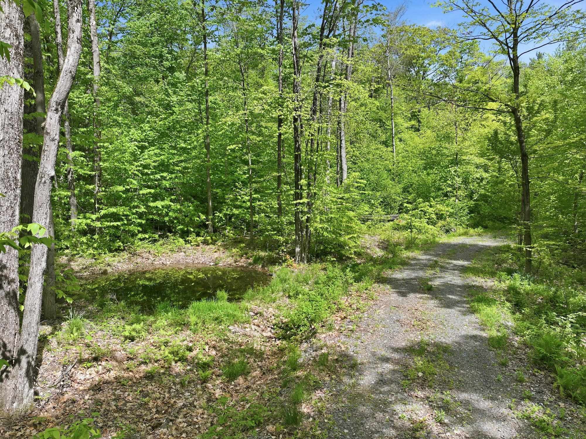 189 Shagbark Lane Property Photo 12