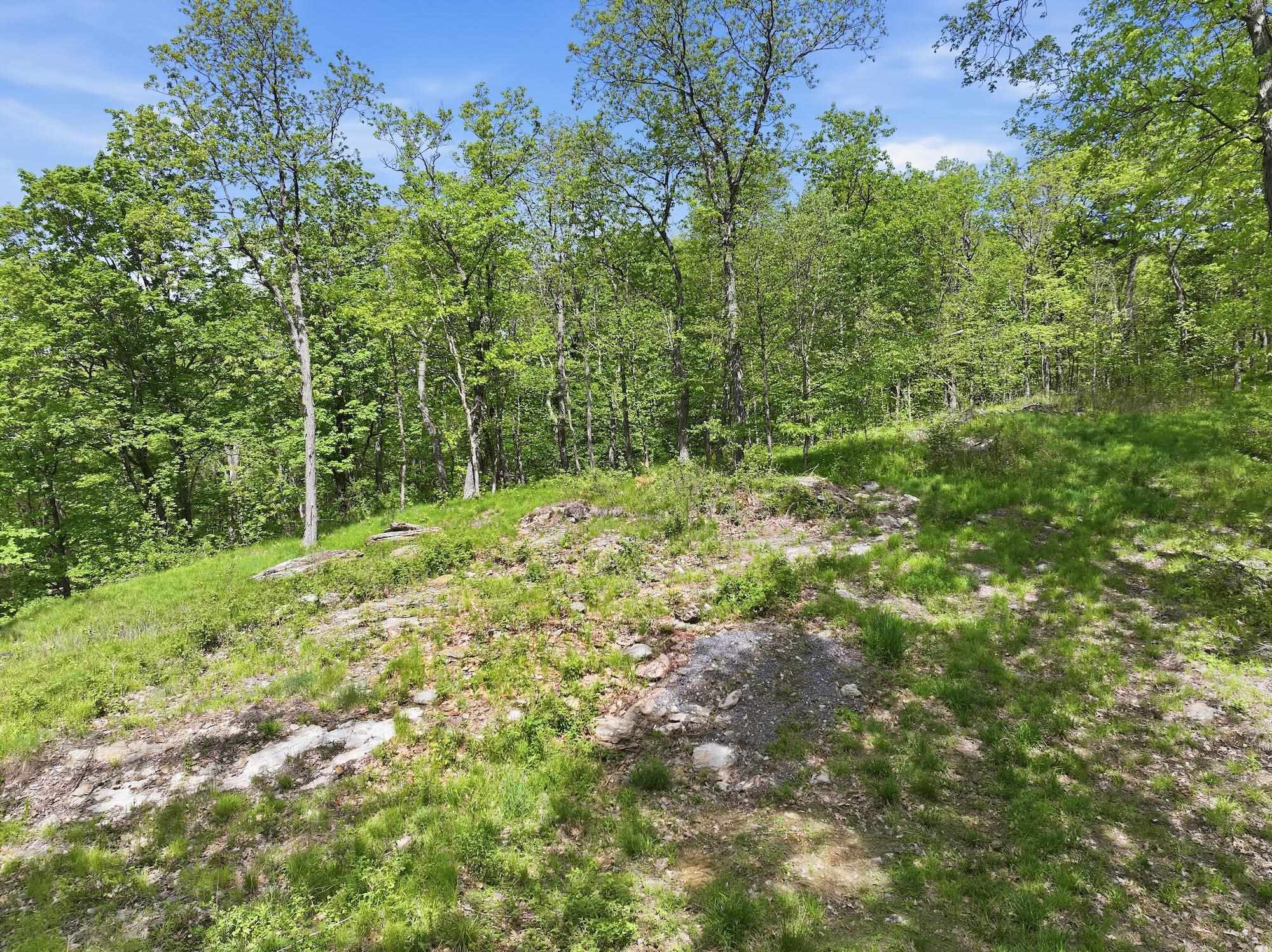 189 Shagbark Lane Property Photo 24