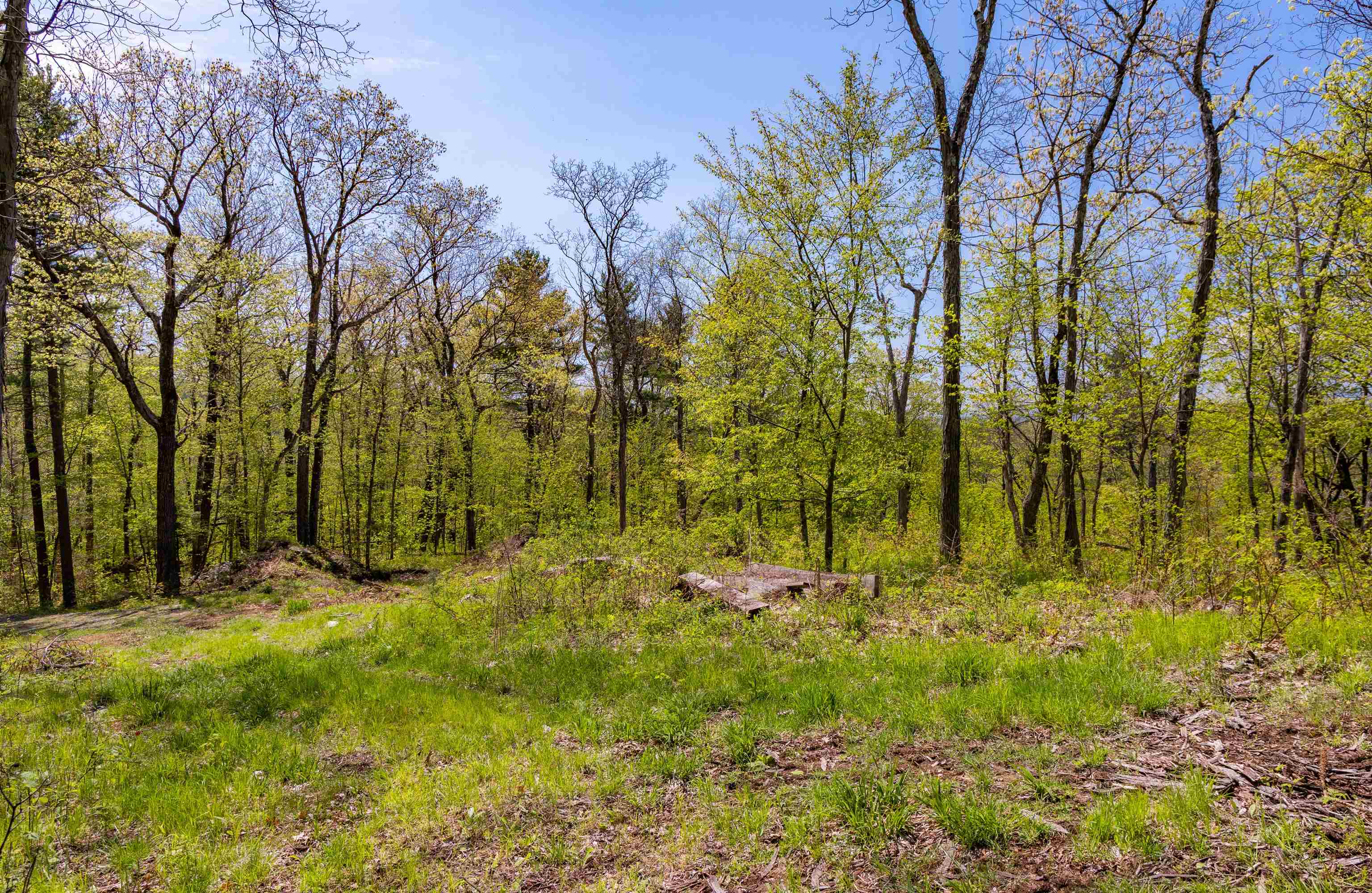 189 Shagbark Lane Property Photo 41