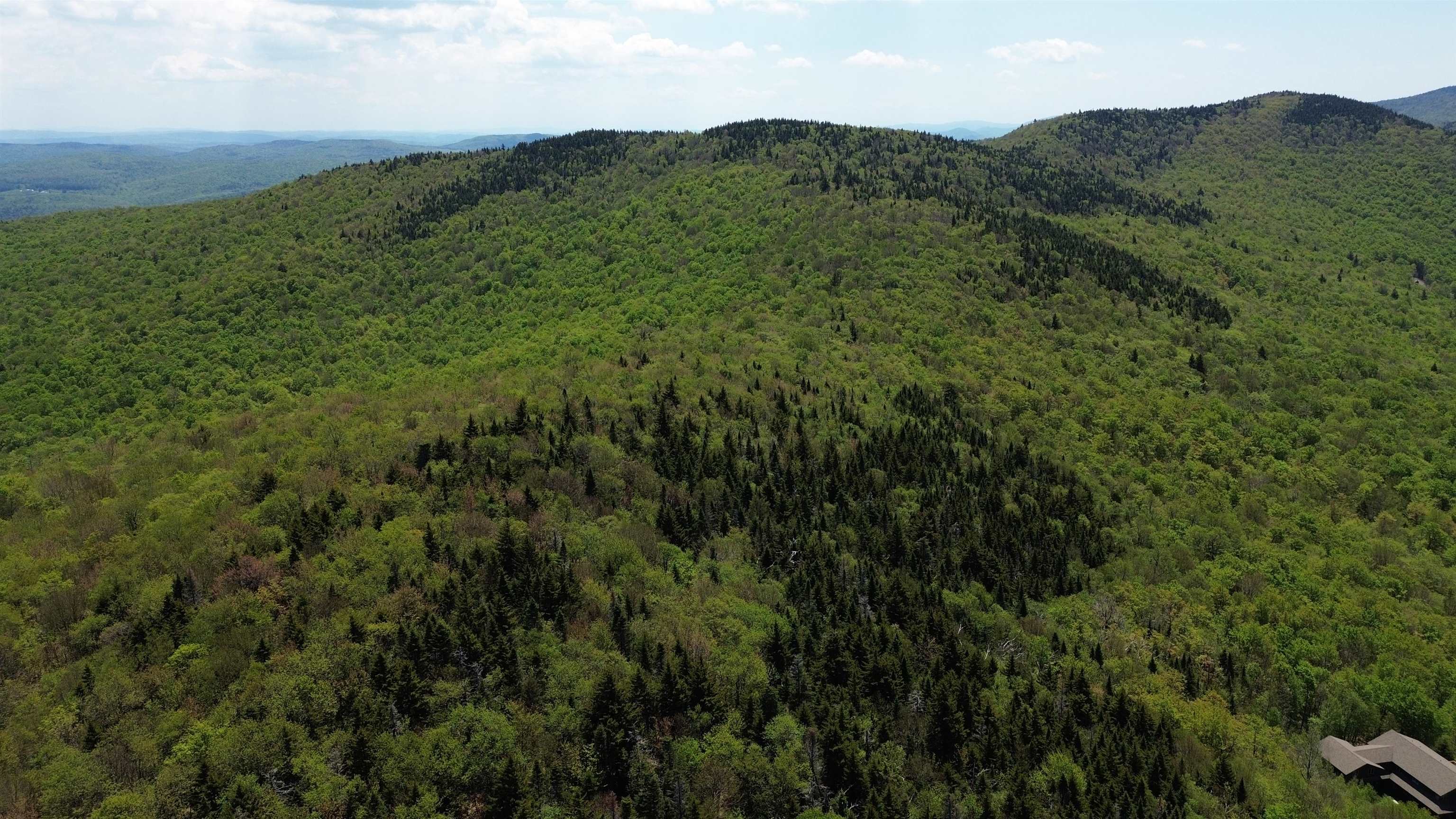 2016 Roxbury Mountain Road Property Photo 3