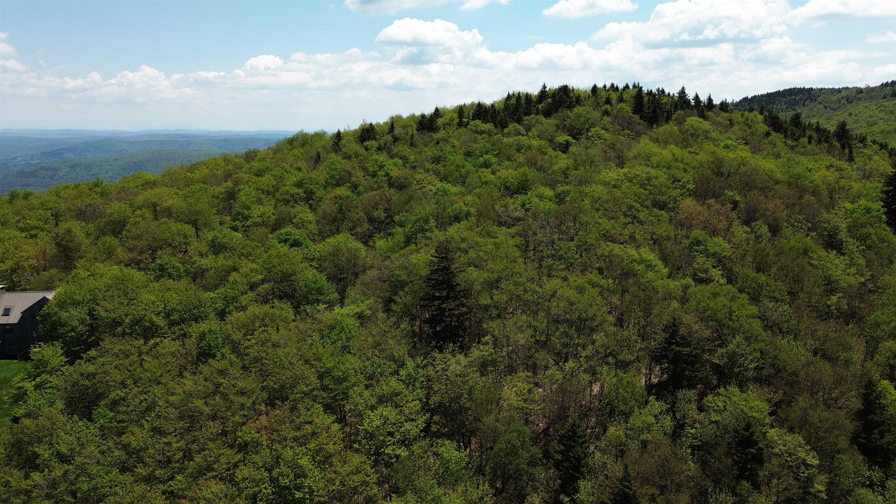 2016 Roxbury Mountain Road Property Photo 5