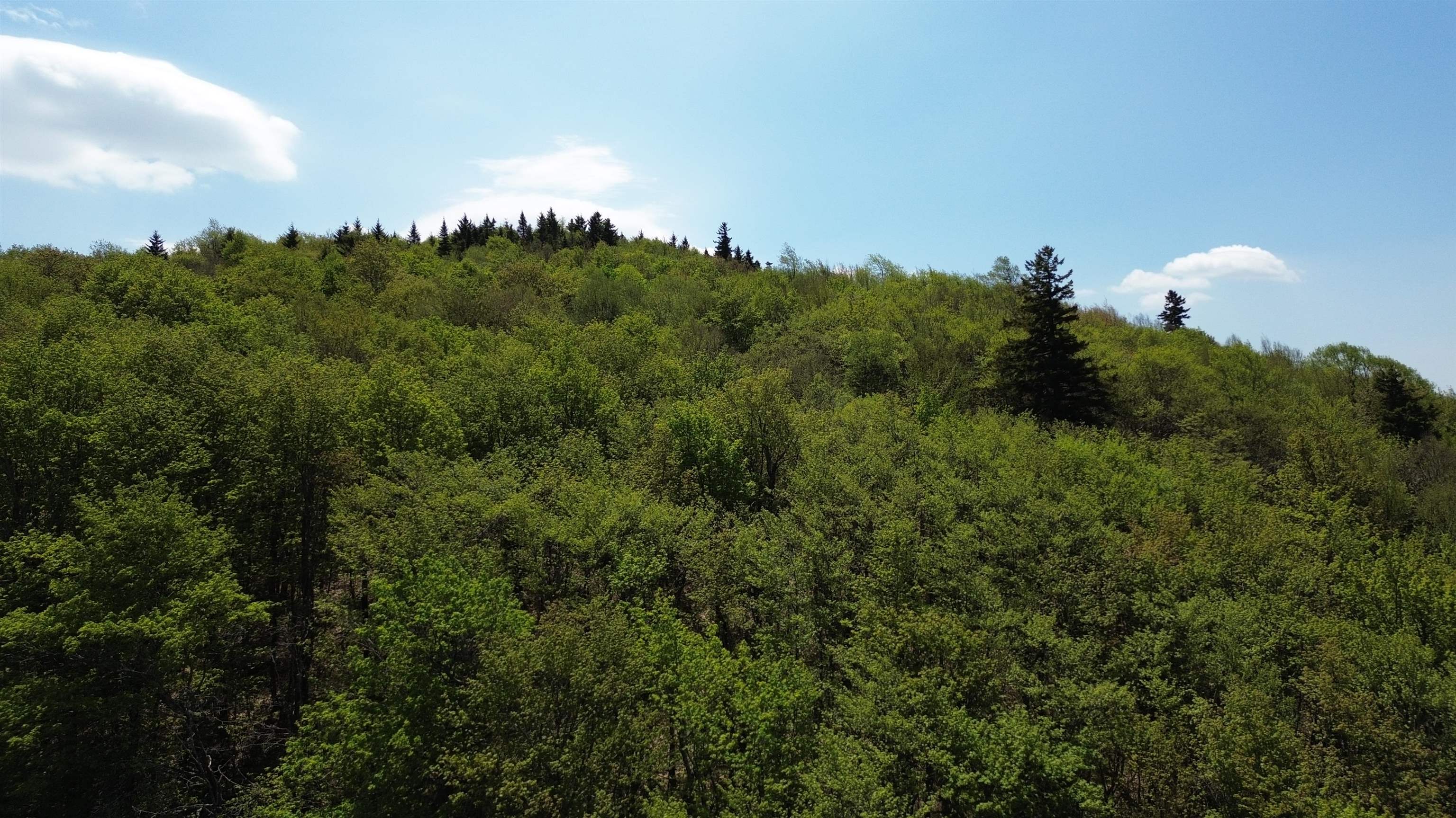 2016 Roxbury Mountain Road Property Photo 7