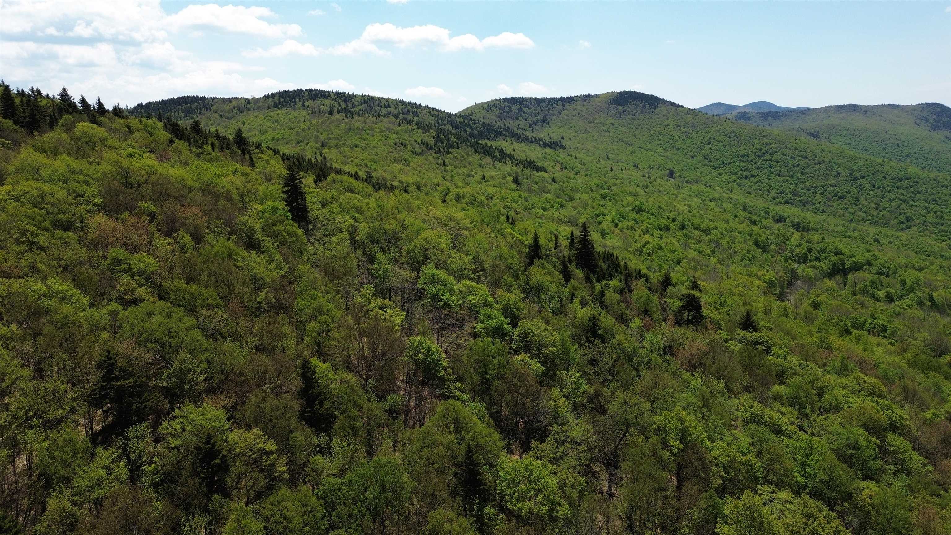 2016 Roxbury Mountain Road Property Photo 10
