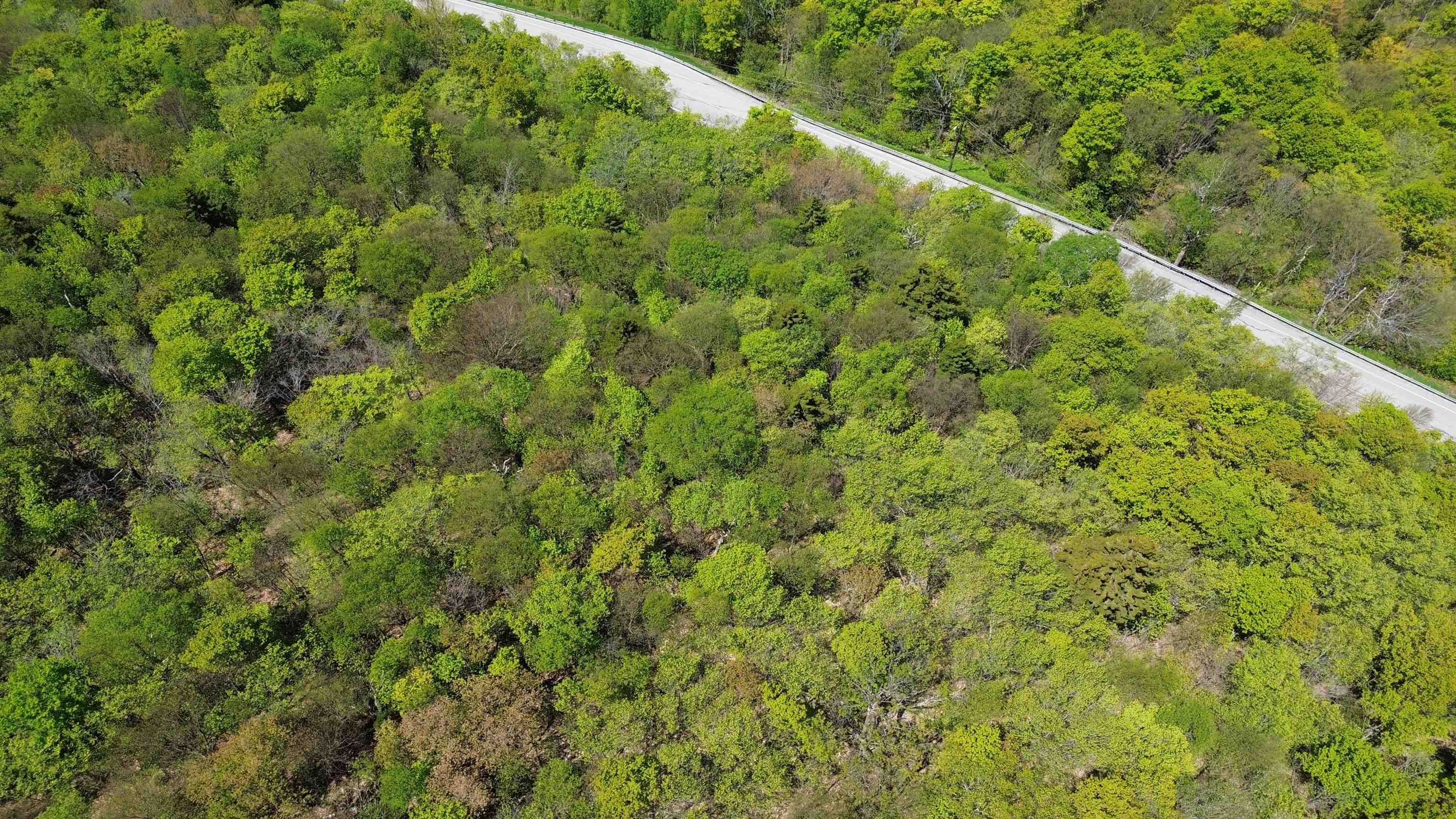 2016 Roxbury Mountain Road Property Photo 14