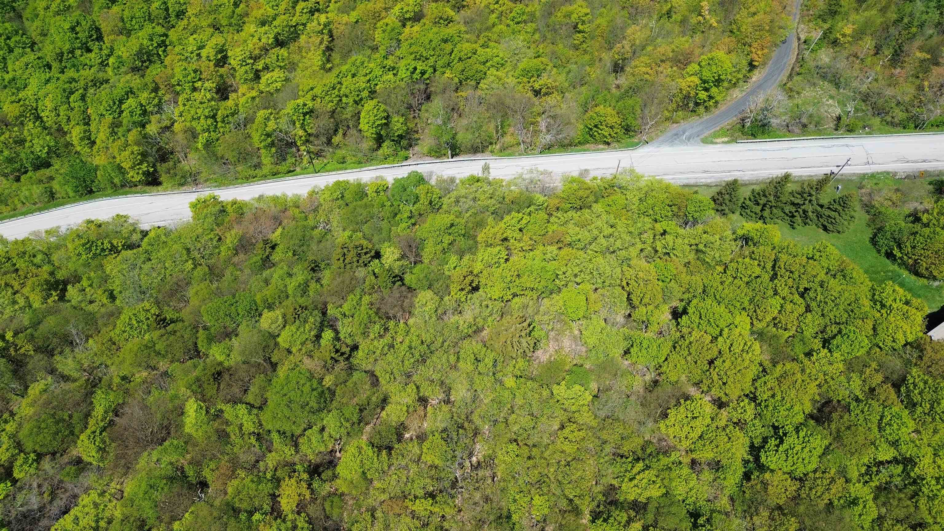 2016 Roxbury Mountain Road Property Photo 15