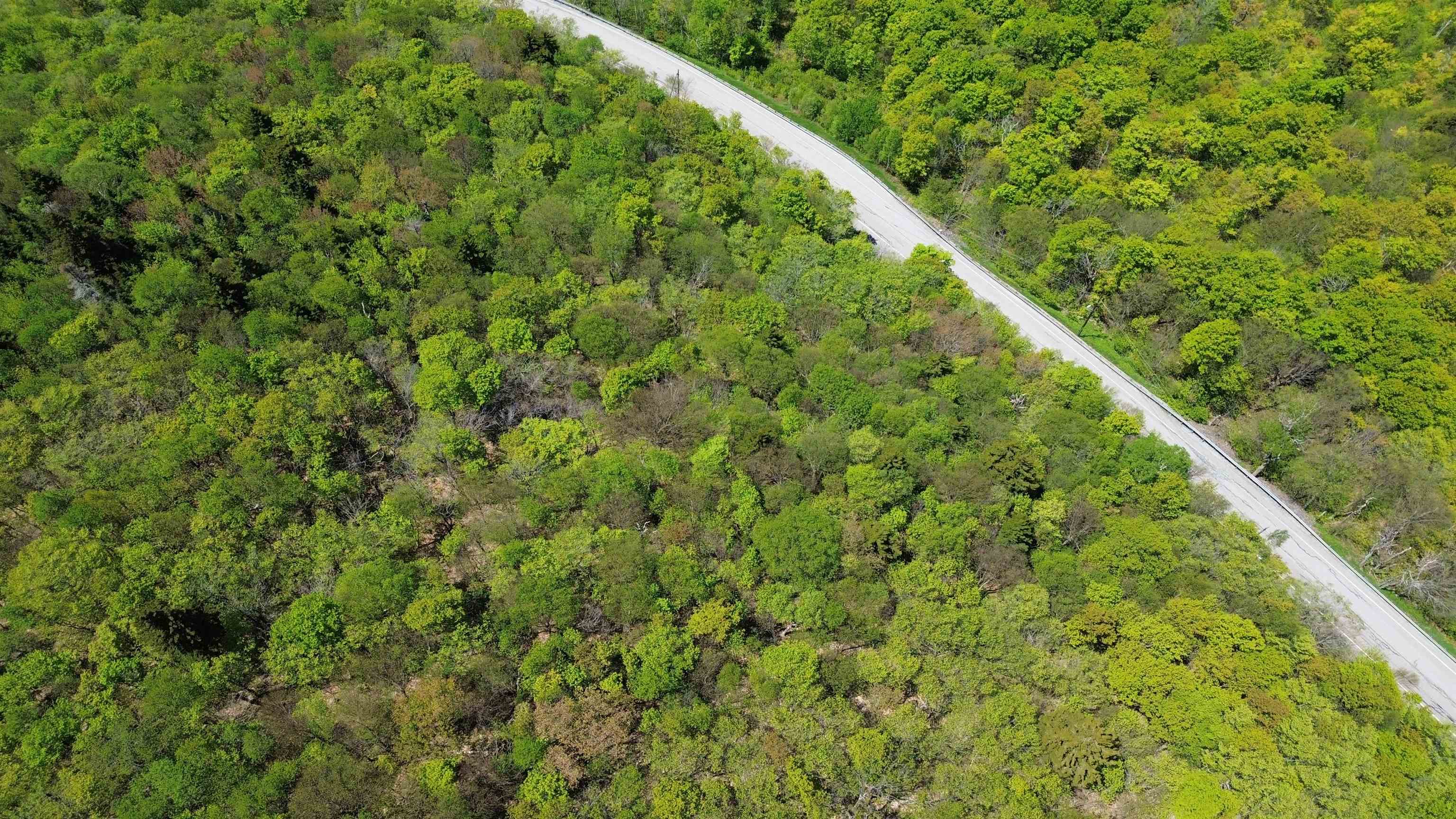 2016 Roxbury Mountain Road Property Photo 18