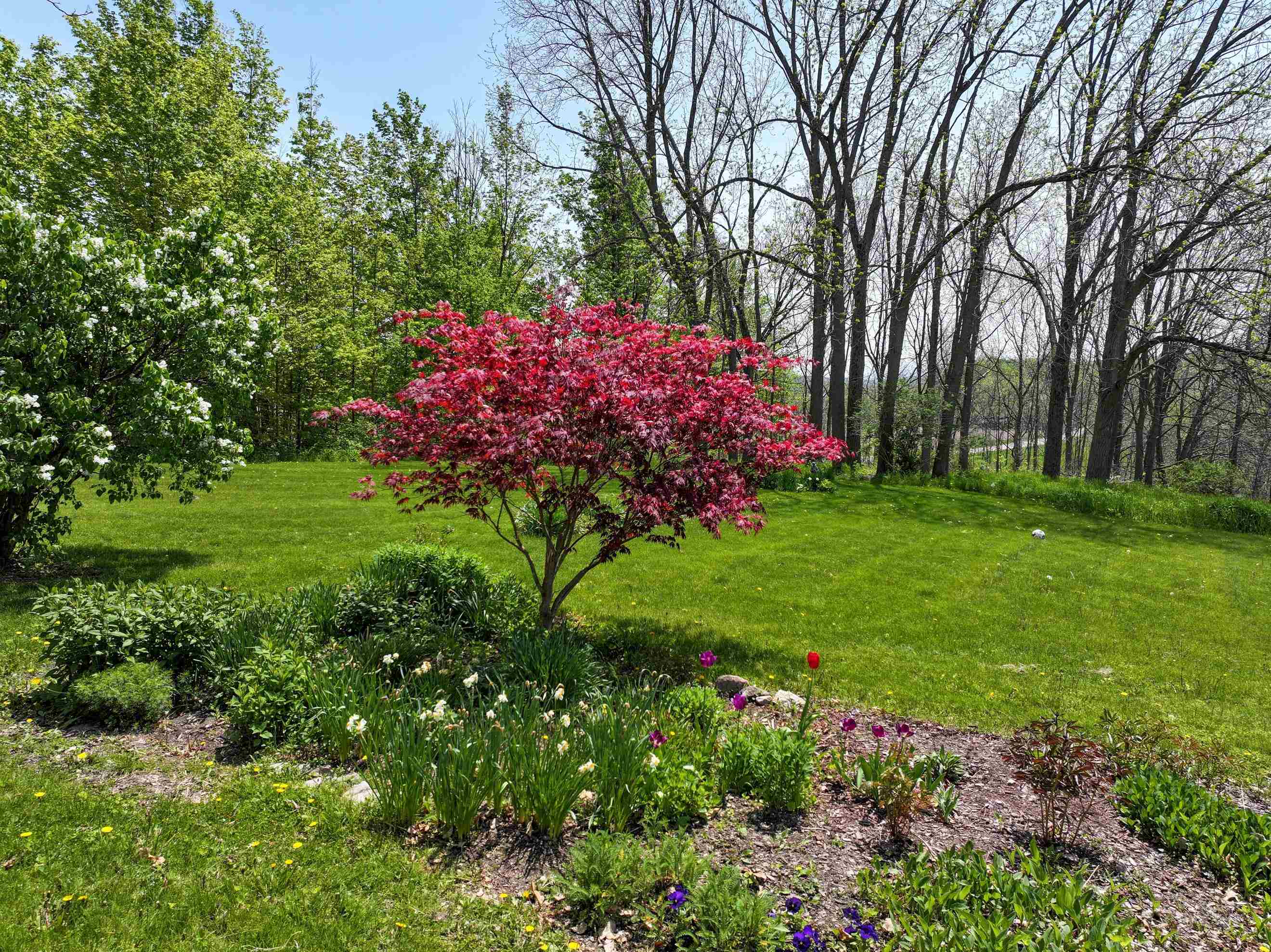 1844 Halladay Road Property Photo 20