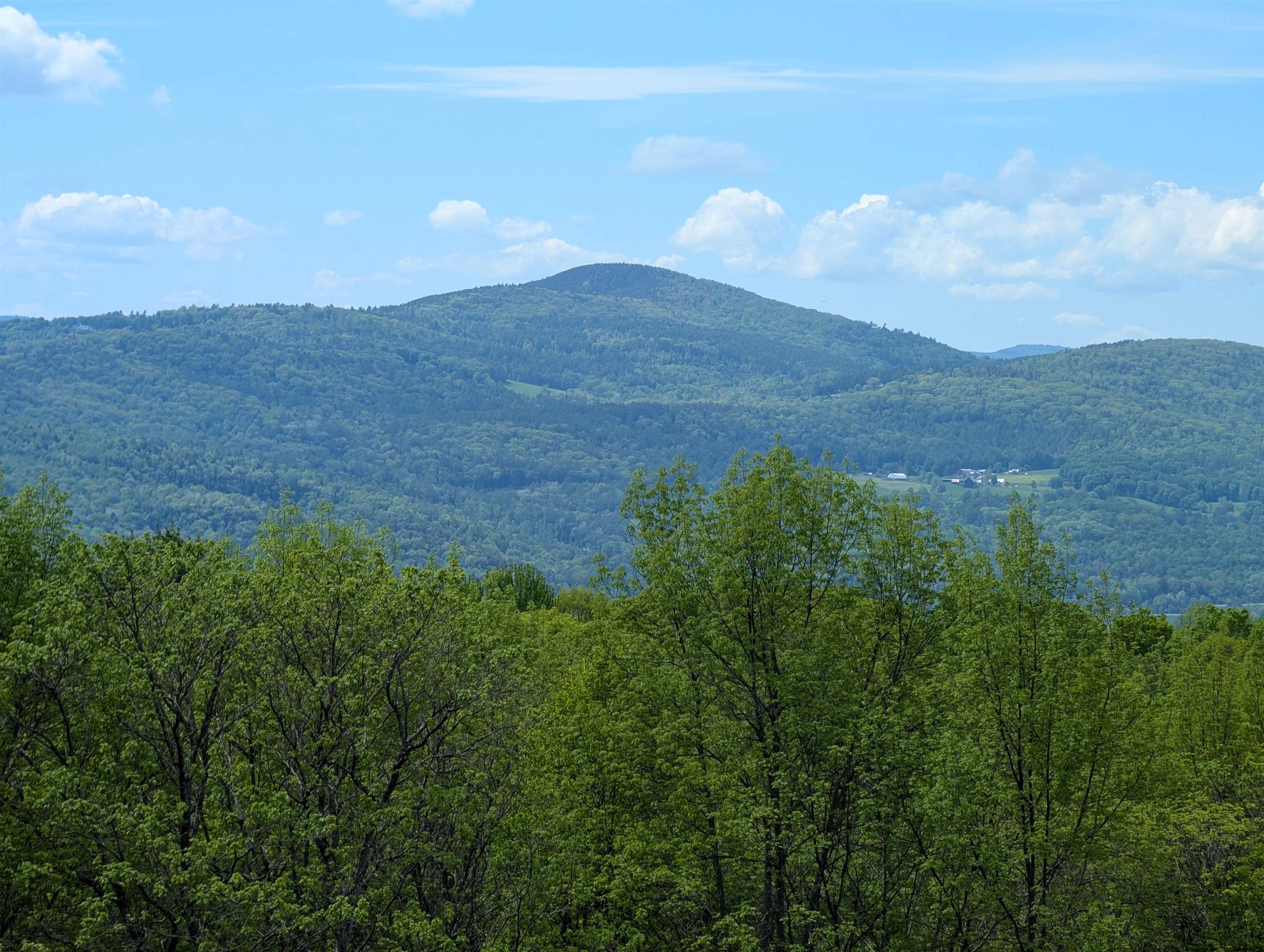 320 Hunt Mountain Road Property Photo 7
