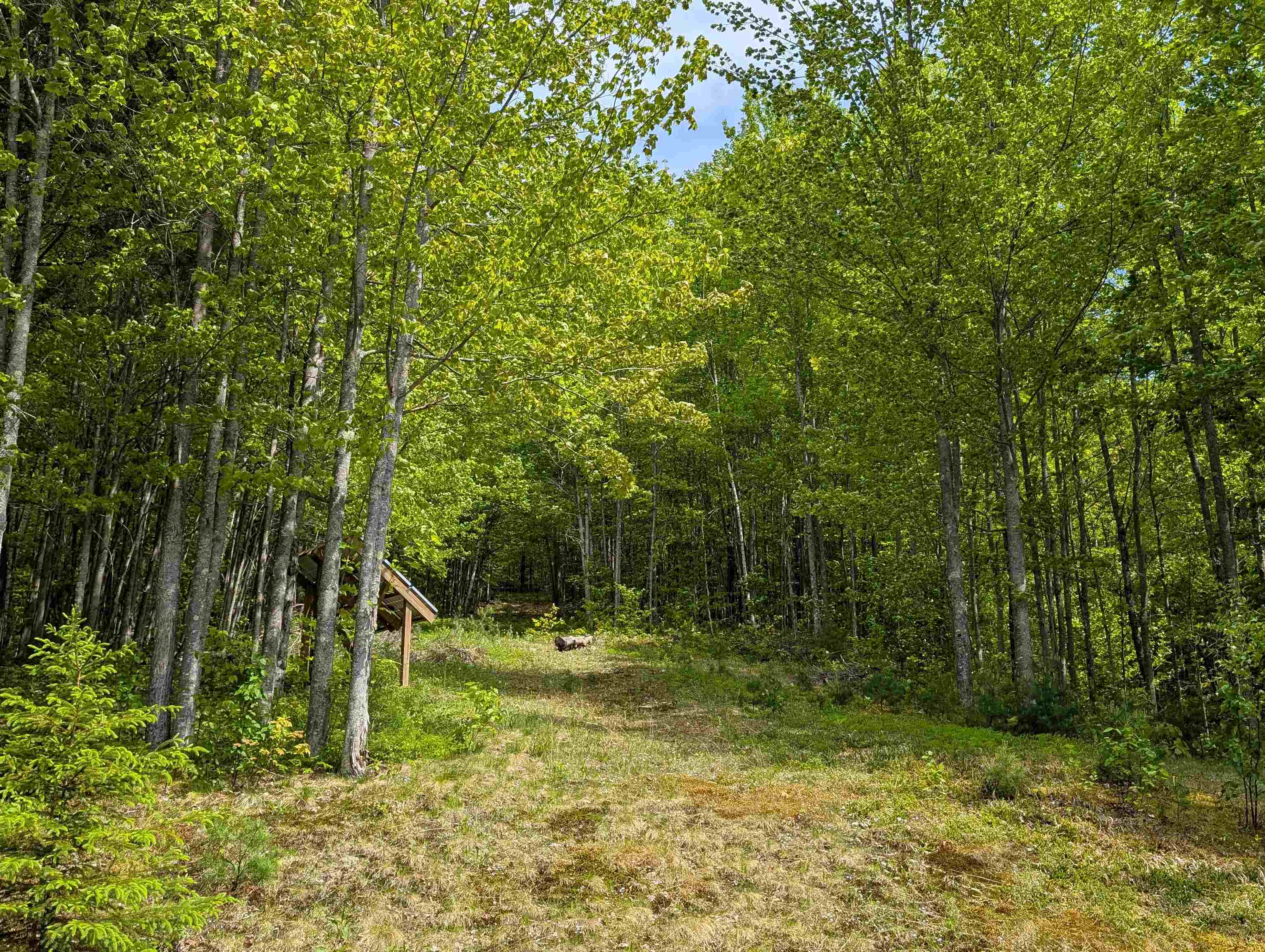 320 Hunt Mountain Road Property Photo 26