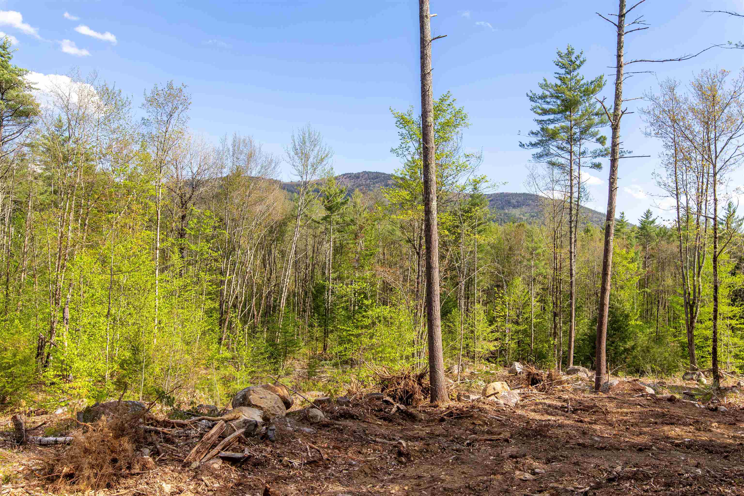 000 Elijah Beede Road Property Photo 1