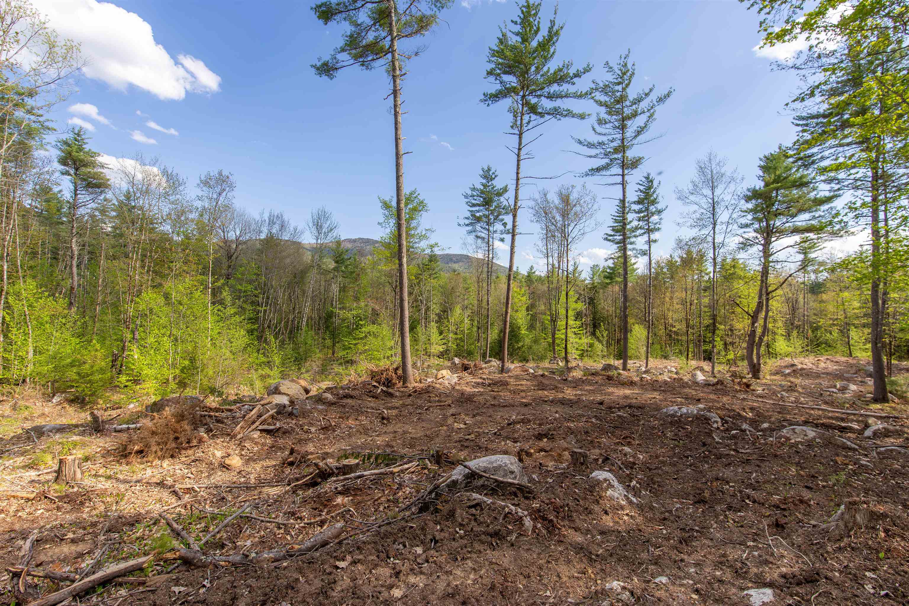 000 Elijah Beede Road Property Photo 2