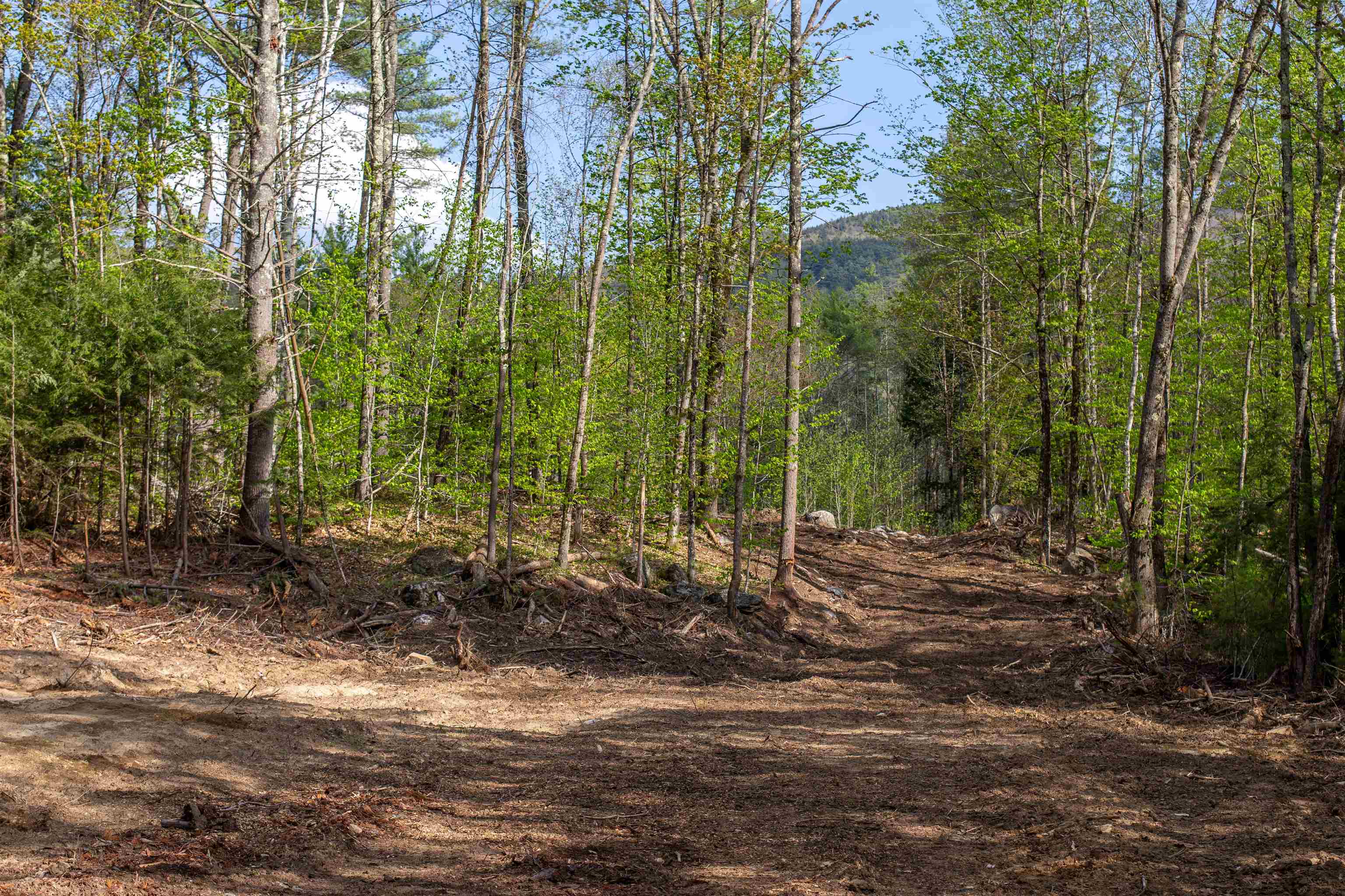 000 Elijah Beede Road Property Photo 14