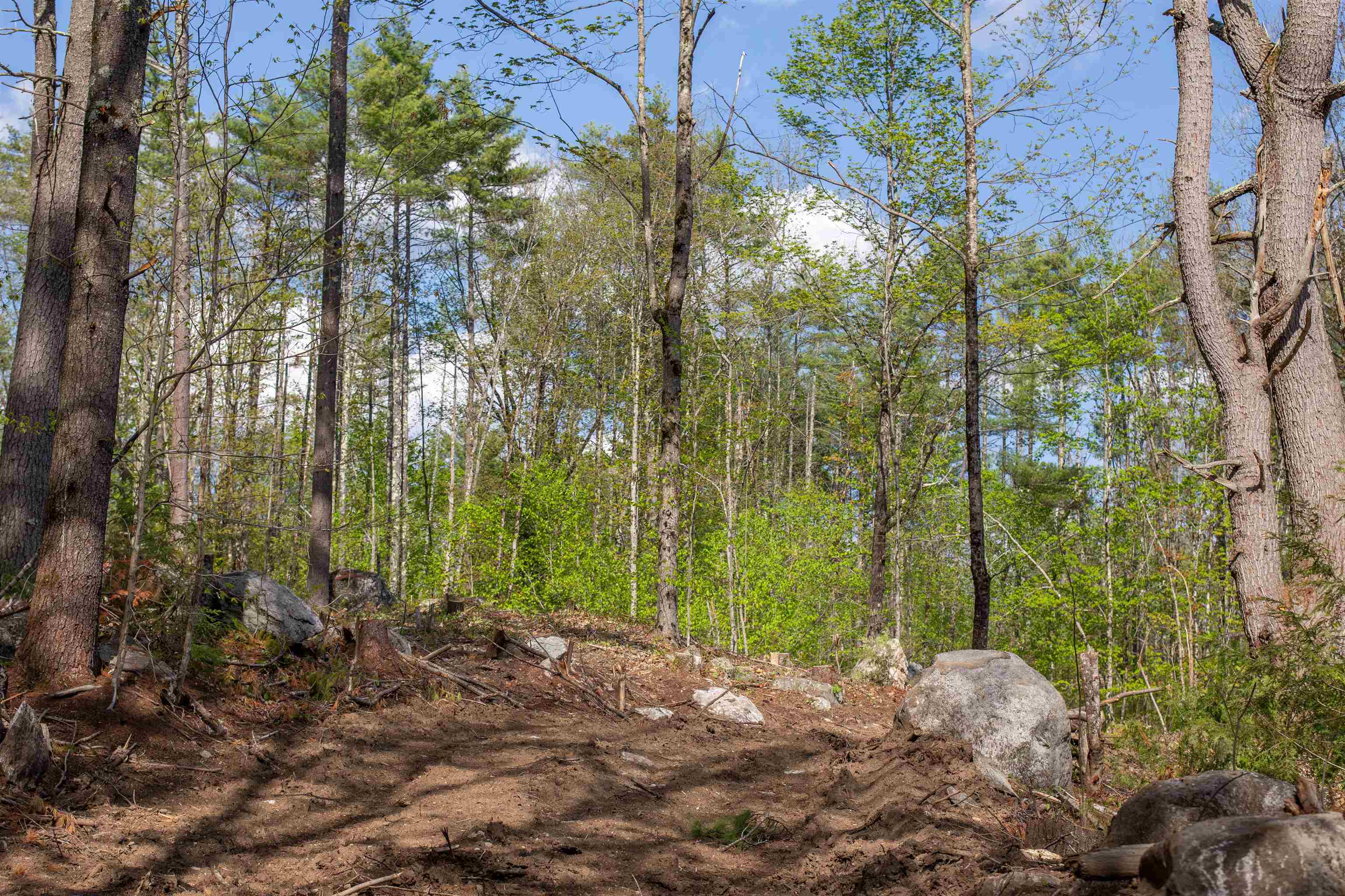 000 Elijah Beede Road Property Photo 16