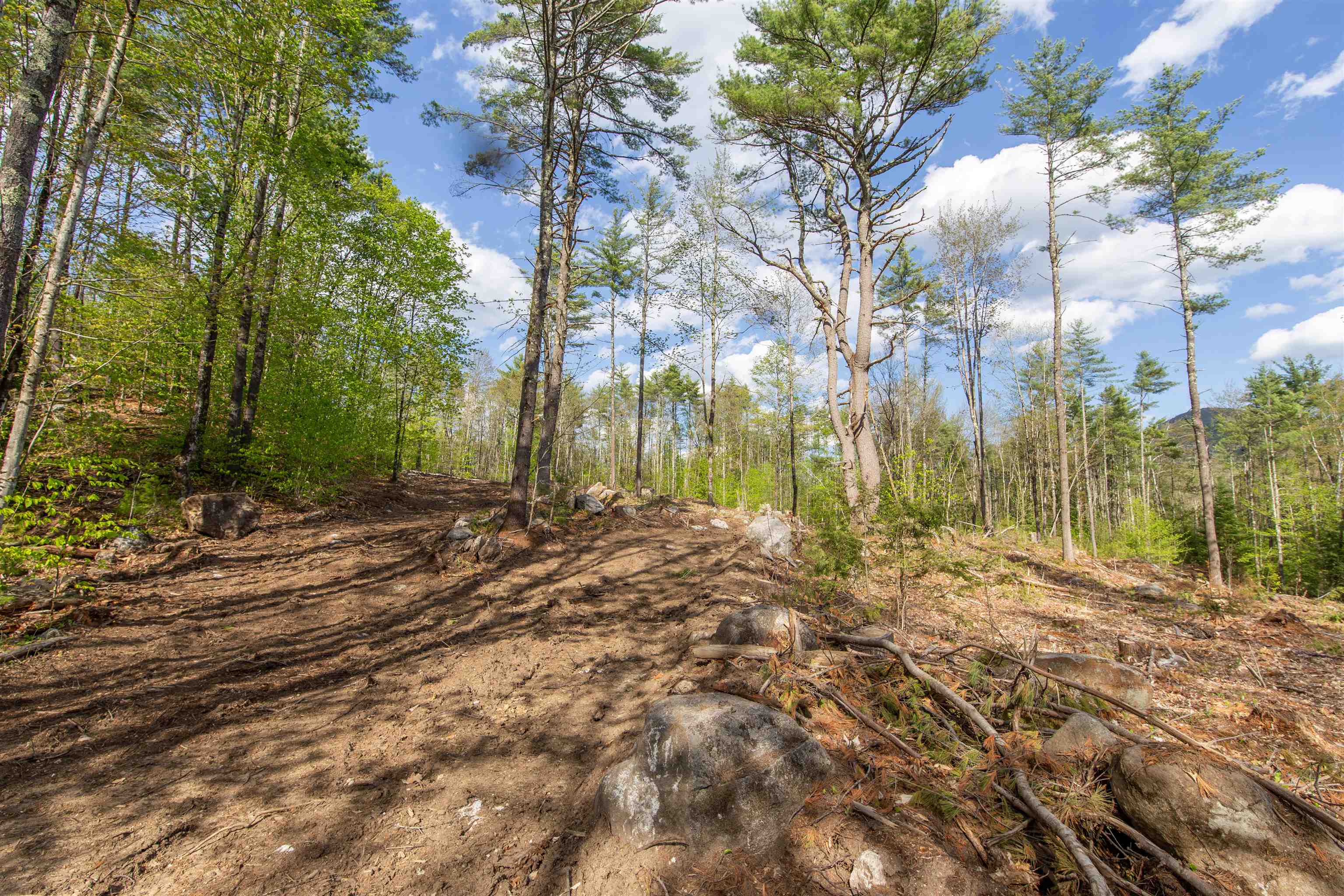 000 Elijah Beede Road Property Photo 17