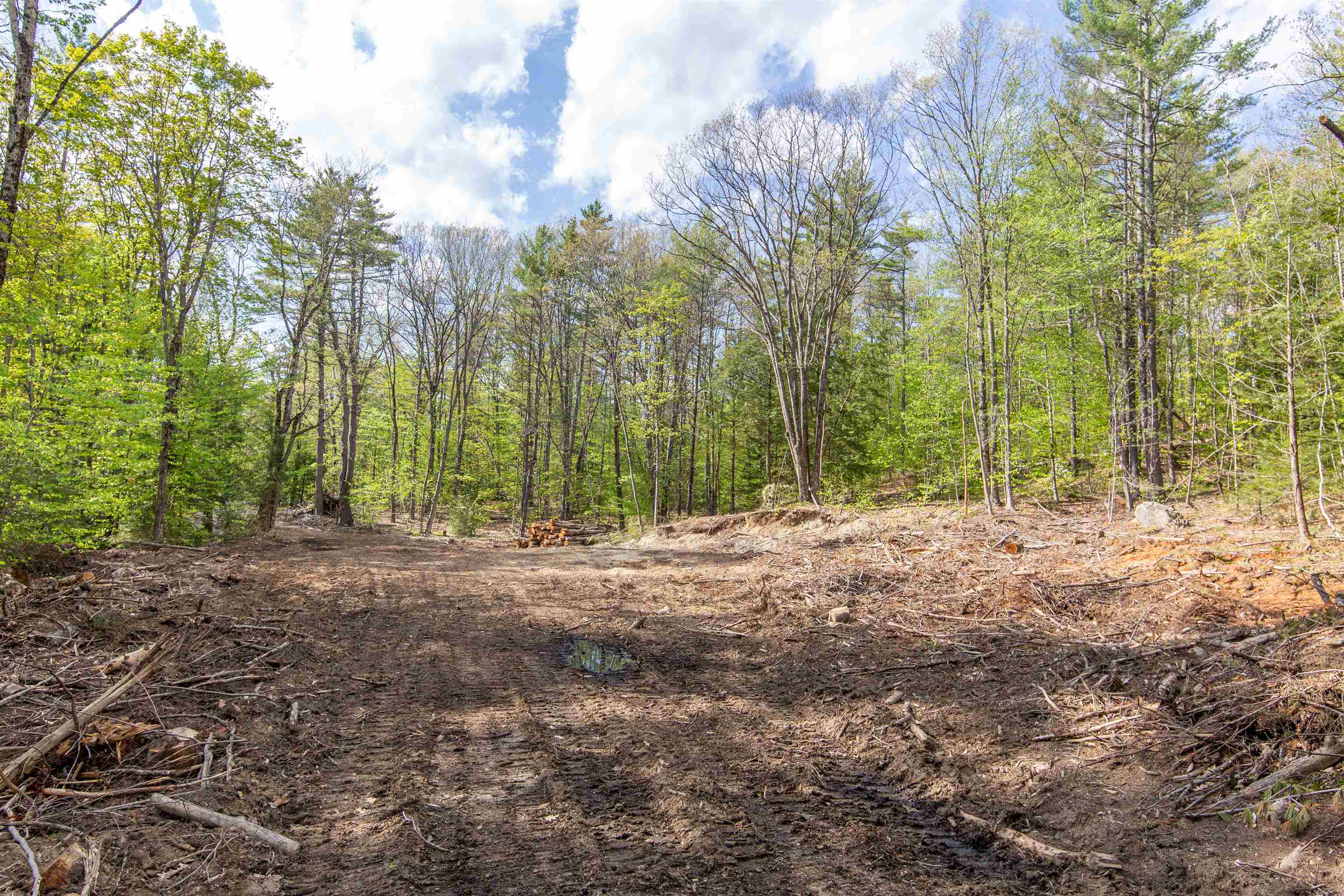 000 Elijah Beede Road Property Photo 23