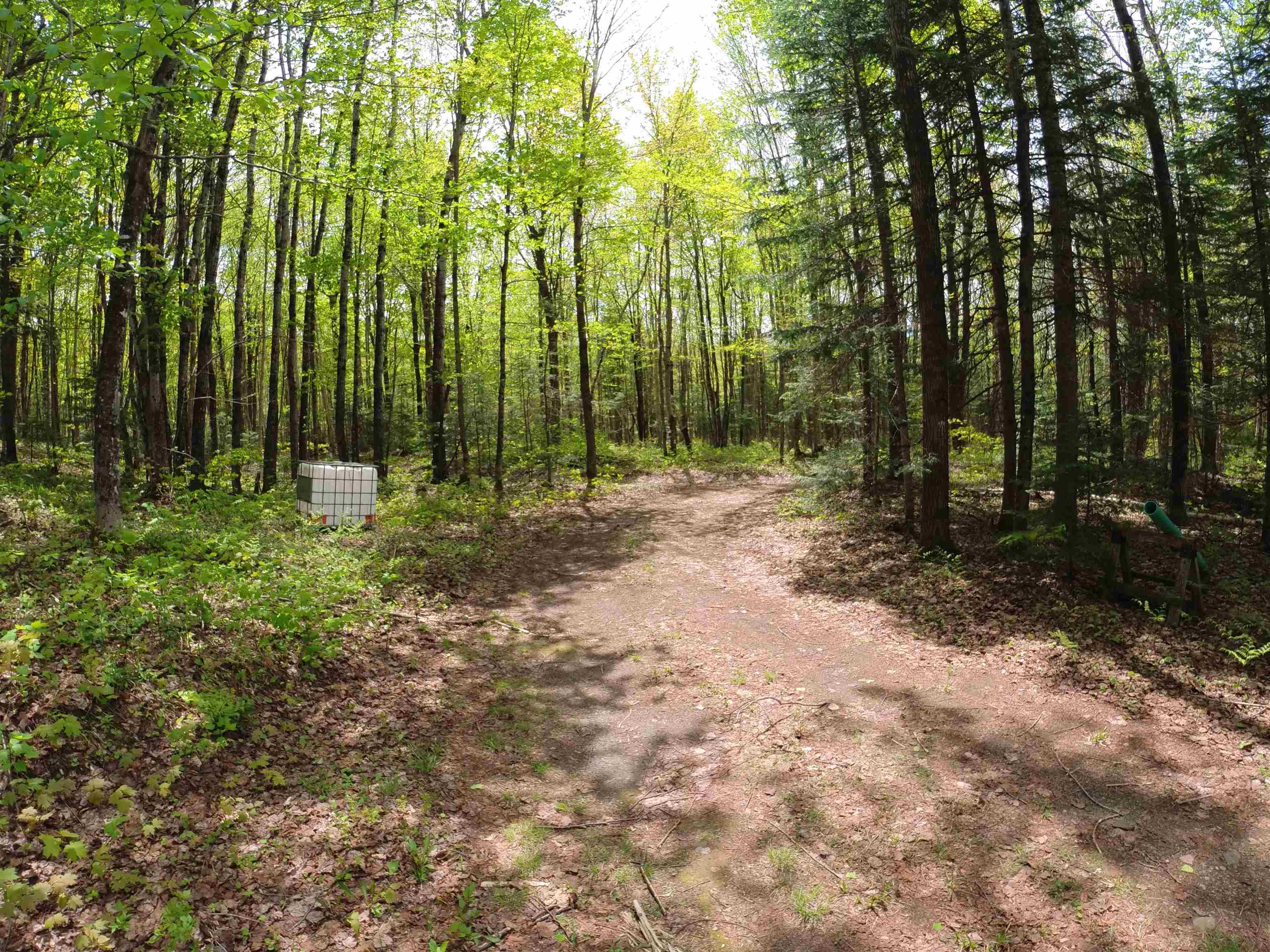 763 Hunting Camp Road Property Photo 10