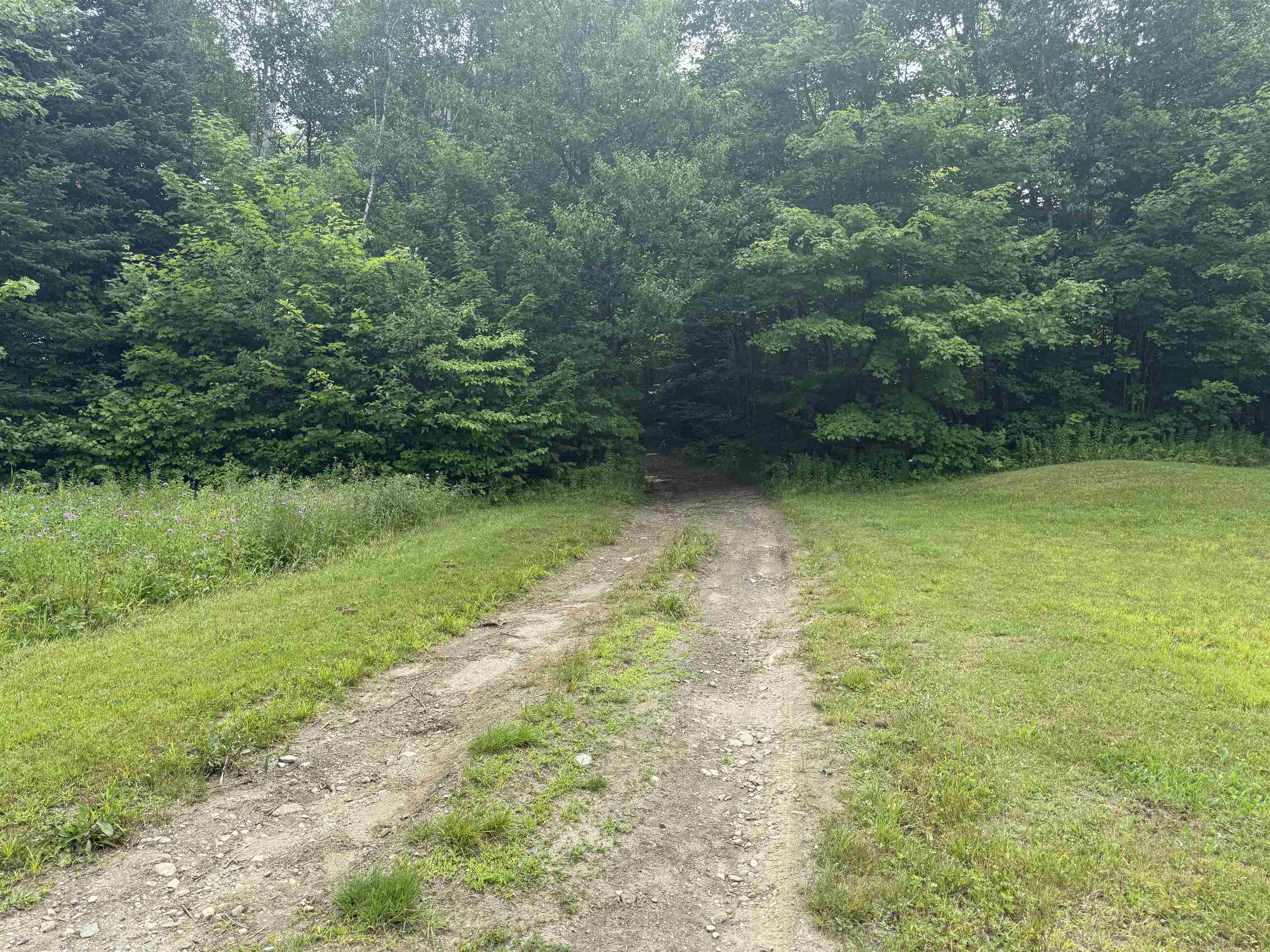 763 Hunting Camp Road Property Photo 39