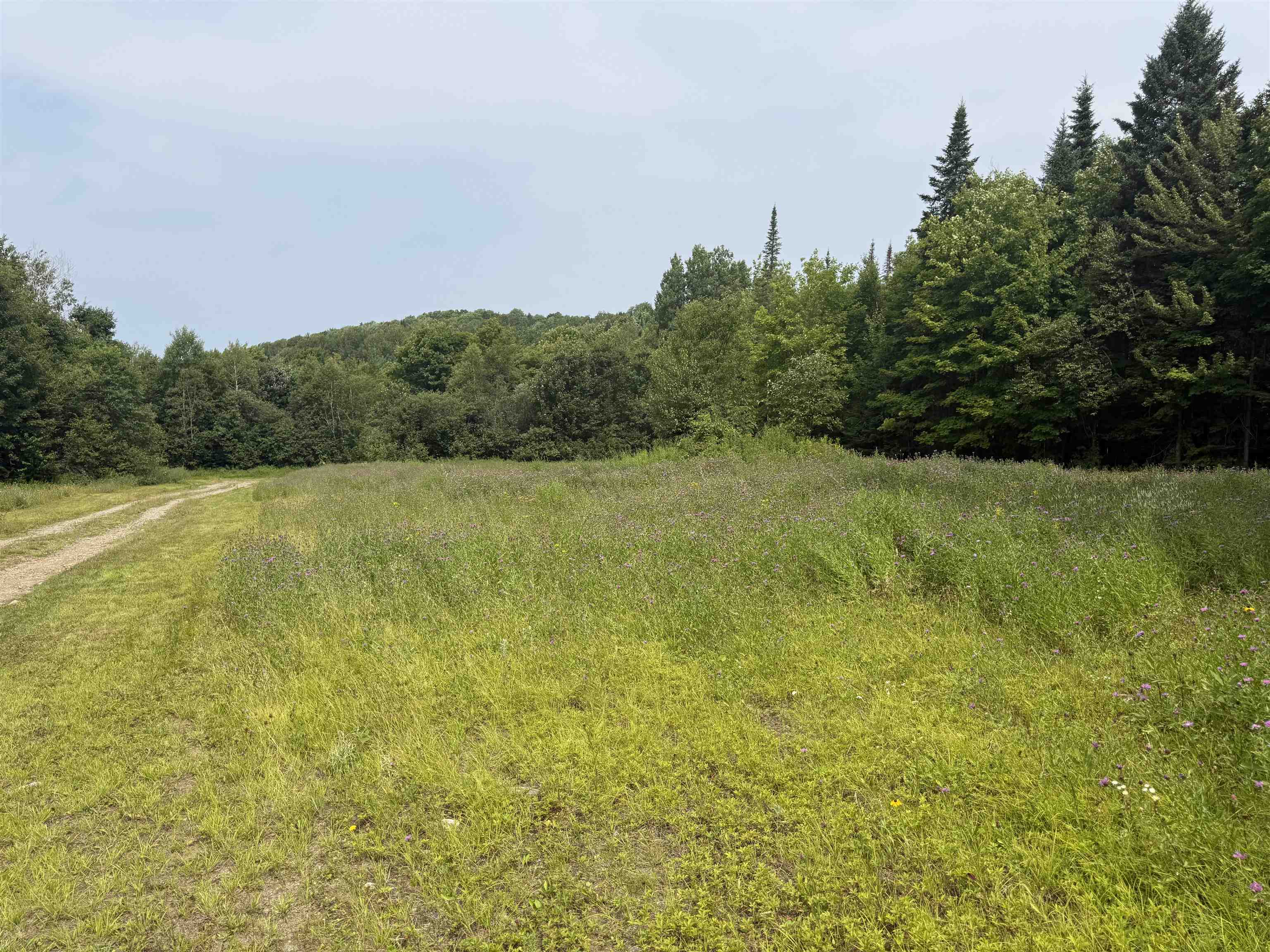 763 Hunting Camp Road Property Photo 42