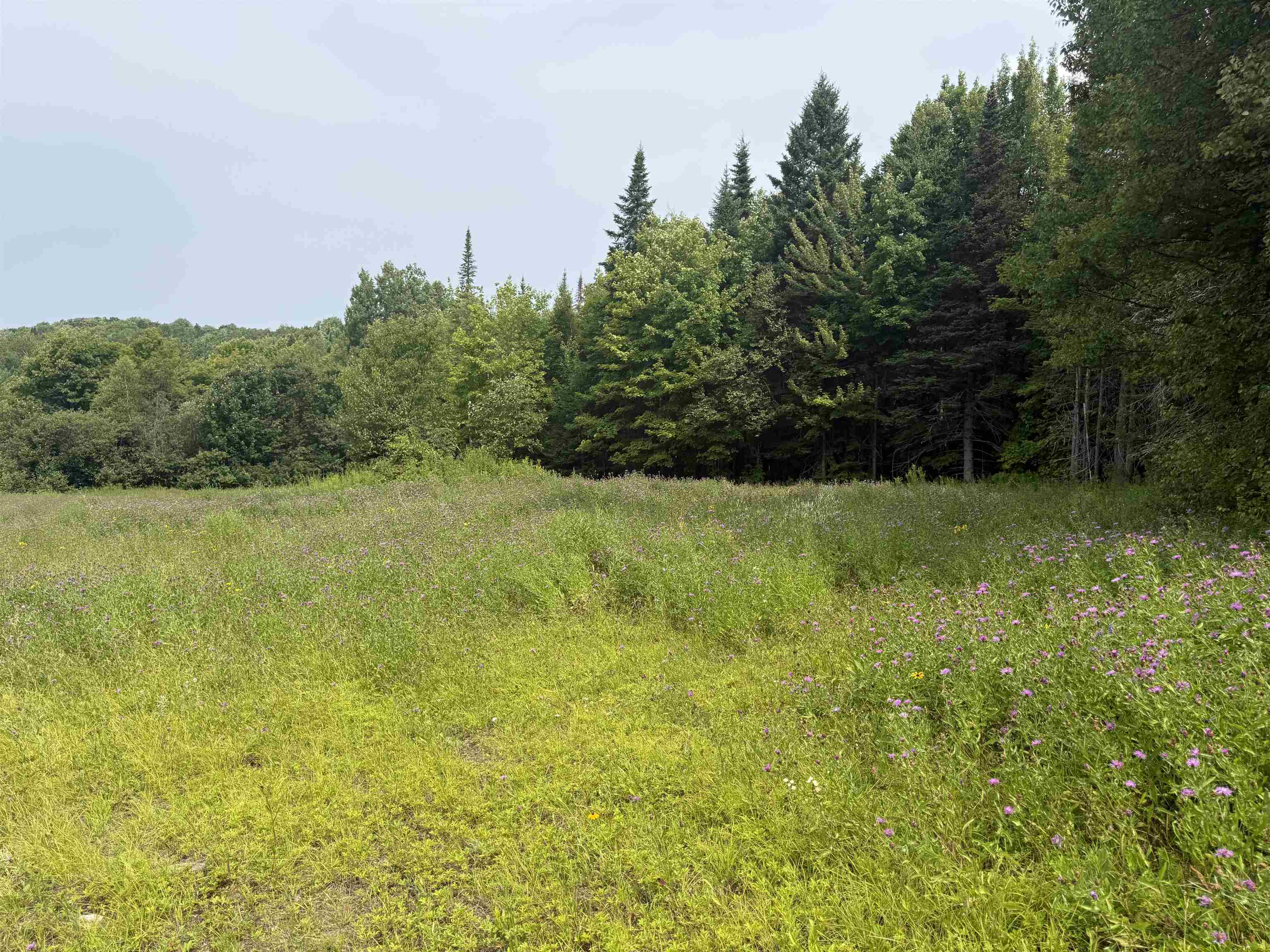 763 Hunting Camp Road Property Photo 44