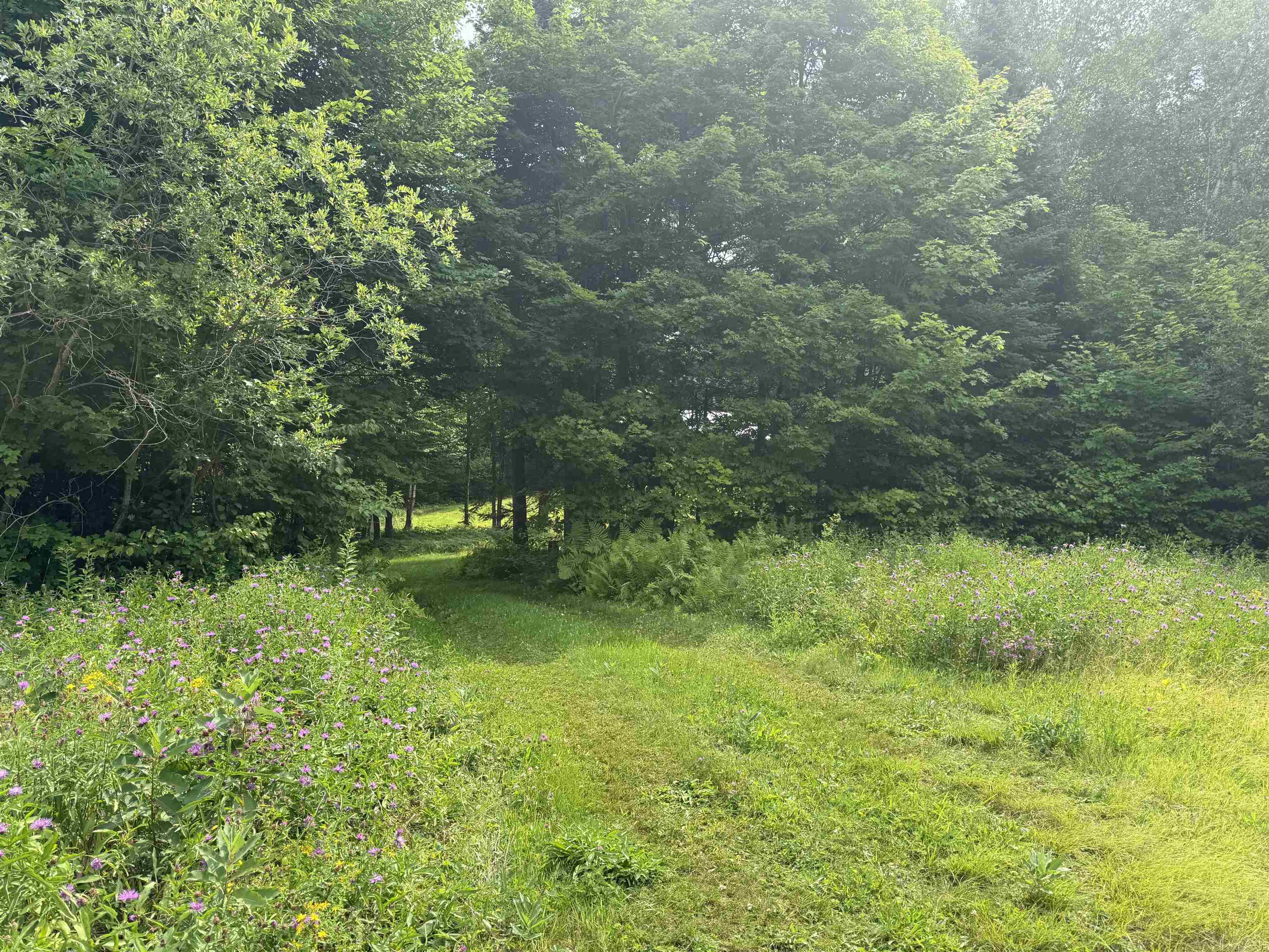 763 Hunting Camp Road Property Photo 45