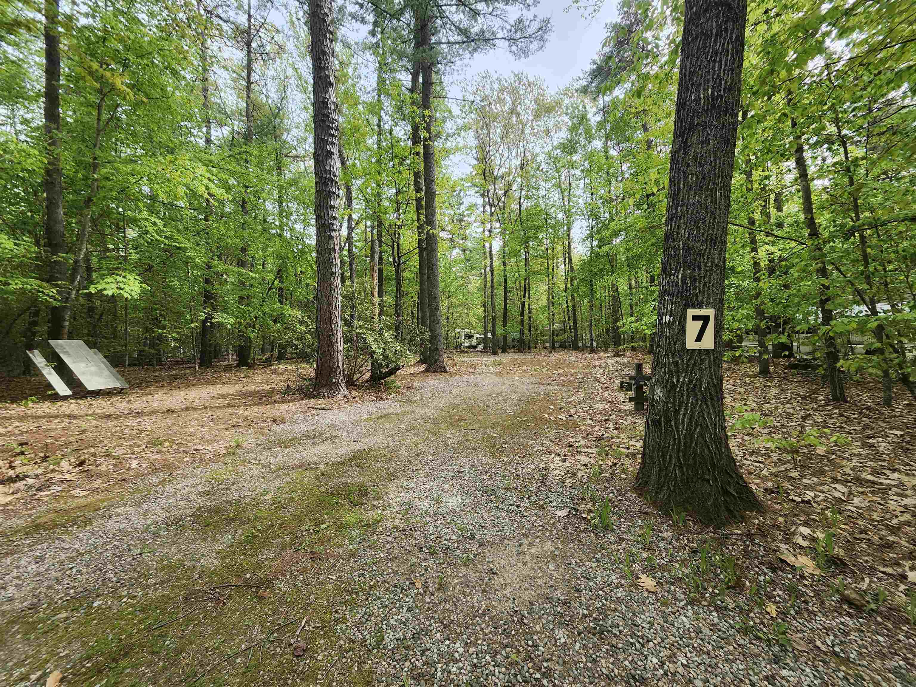 Lot 7 Pine Road Property Photo 1