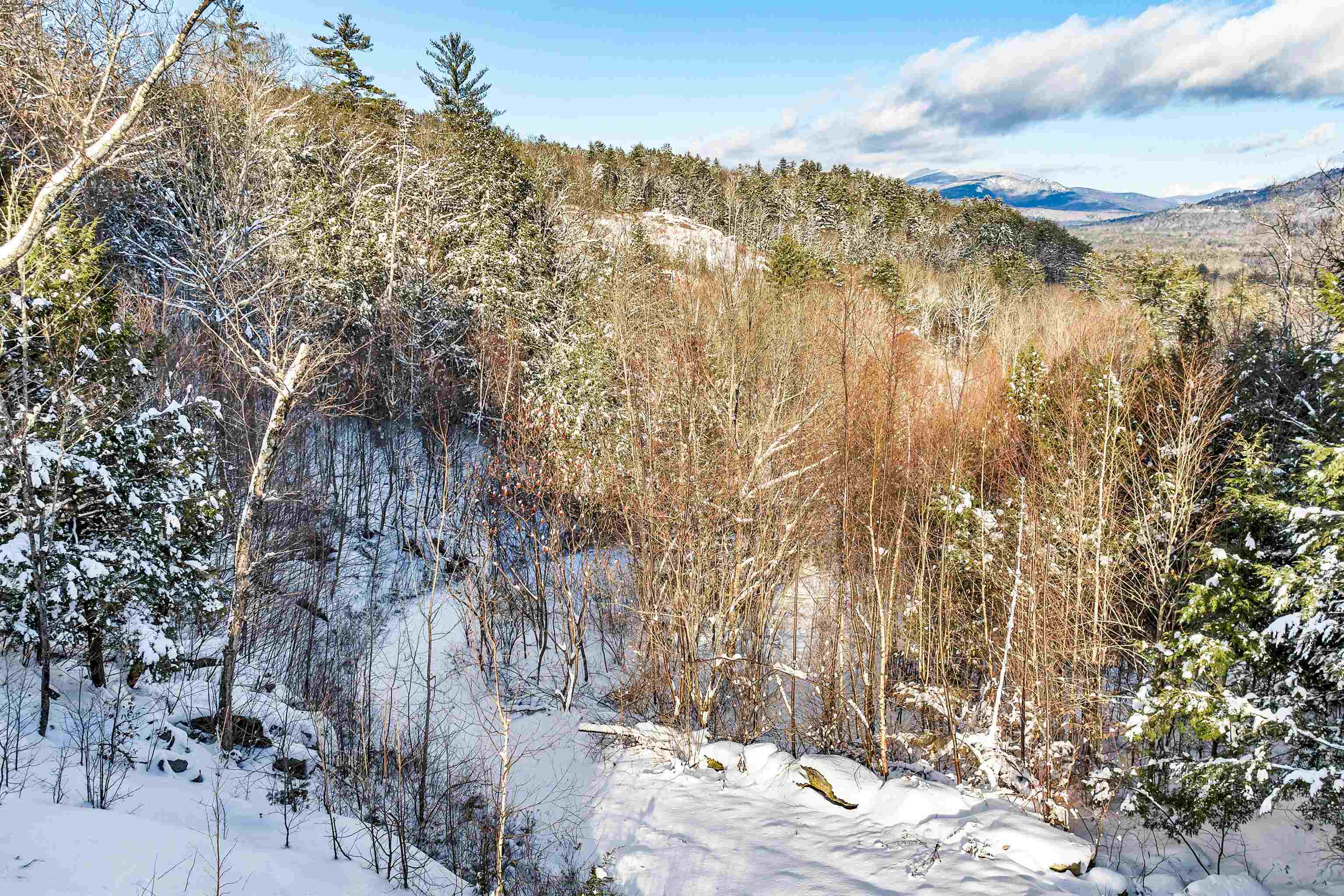 Lot 4 Quarry Road Property Photo 10