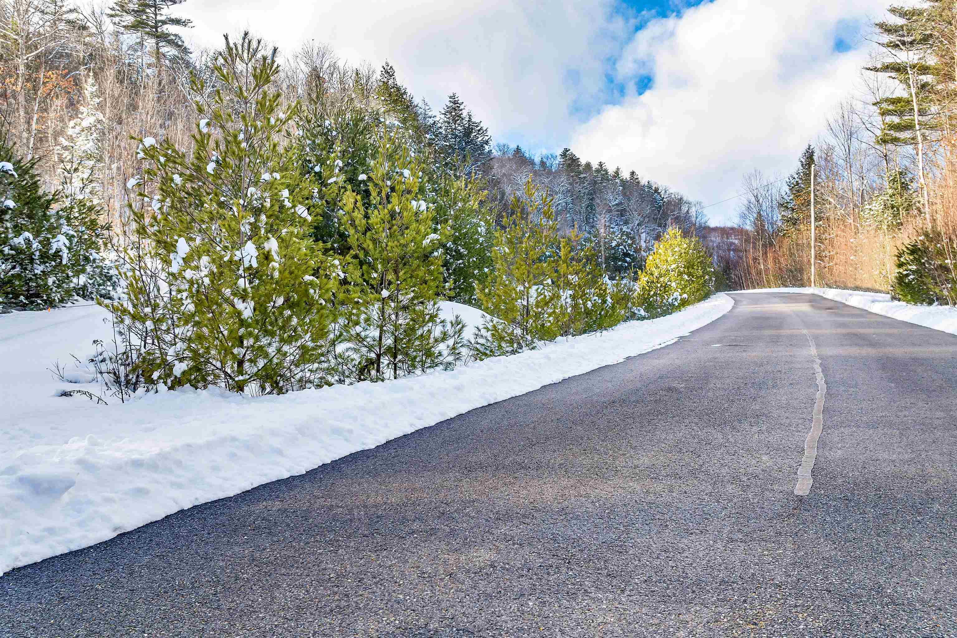 Lot 4 Quarry Road Property Photo 11