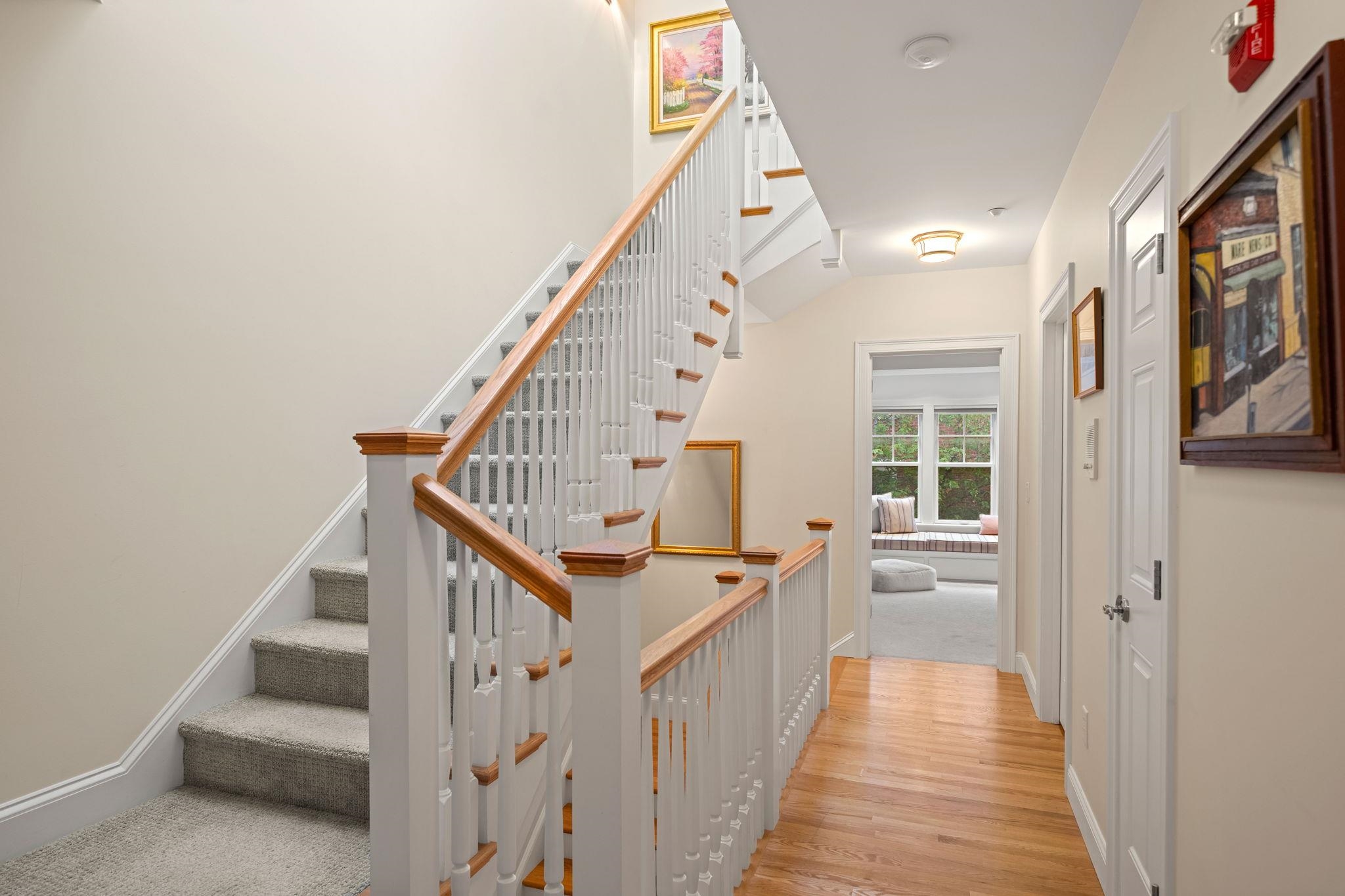 24 Porter Street Property Photo 31
